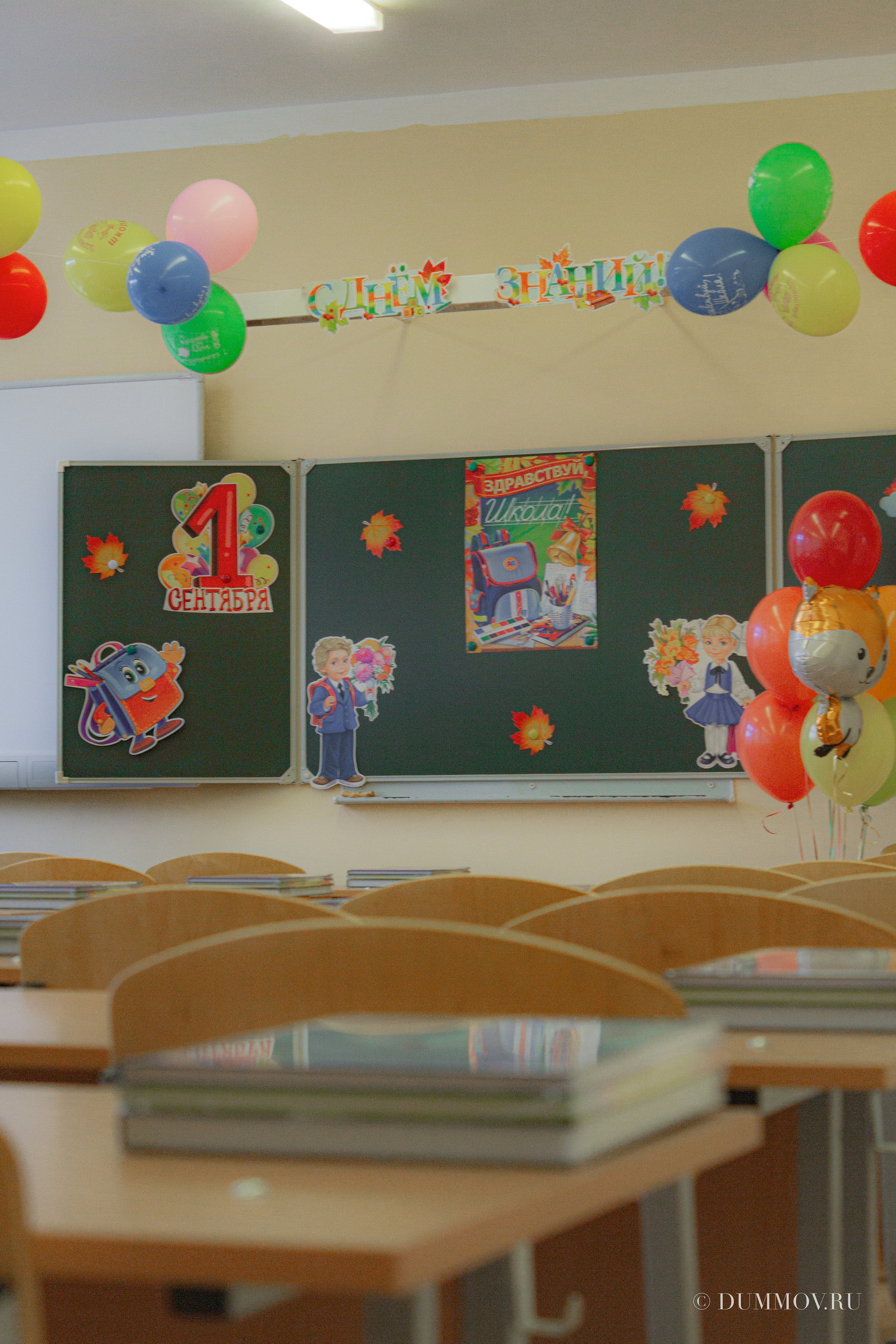 День знаний (Школа 604 Славянка). Фотограф в Санкт-Петербурге