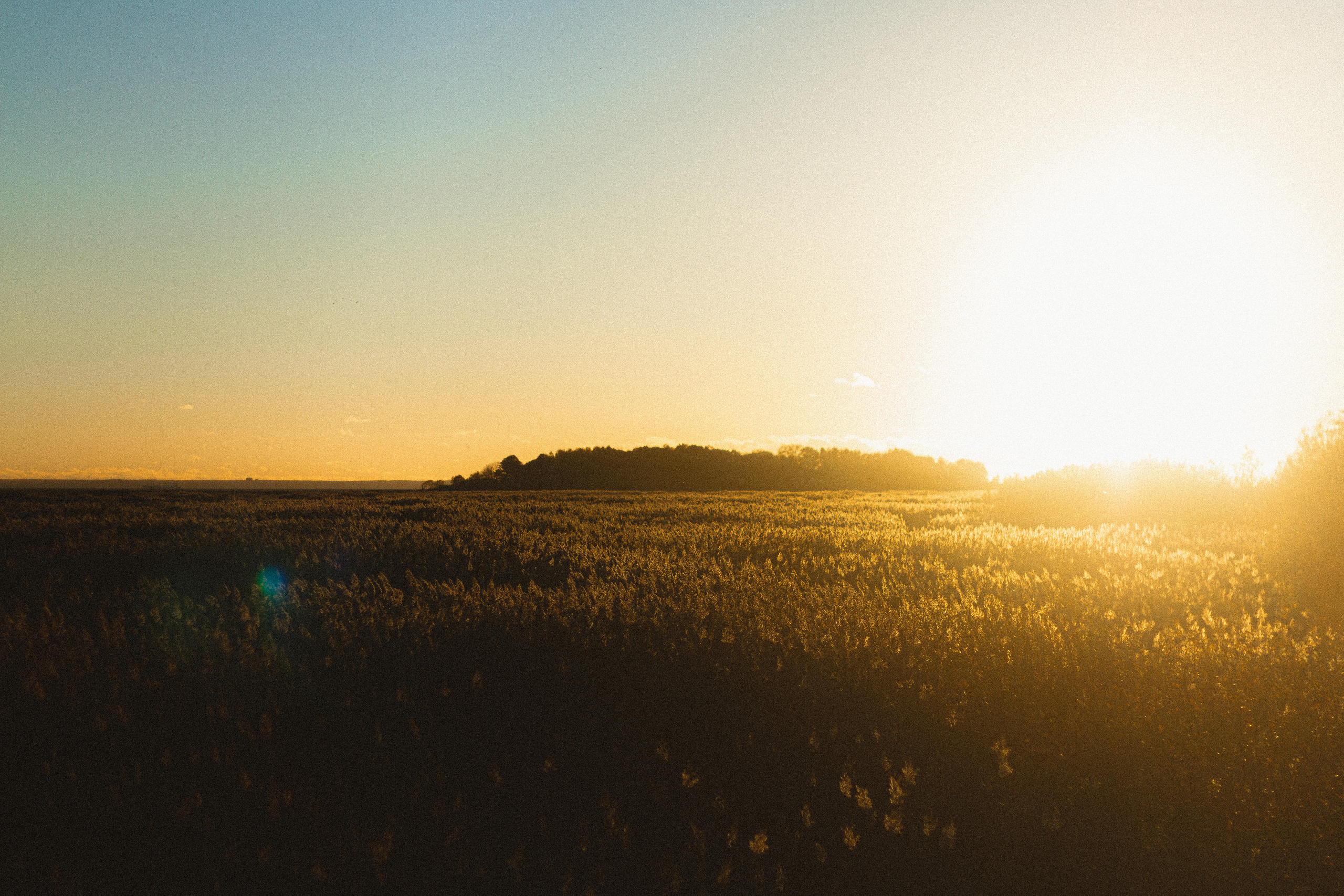 Прогулка по эко-тропе Лисий нос. Фотограф в Санкт-Петербурге