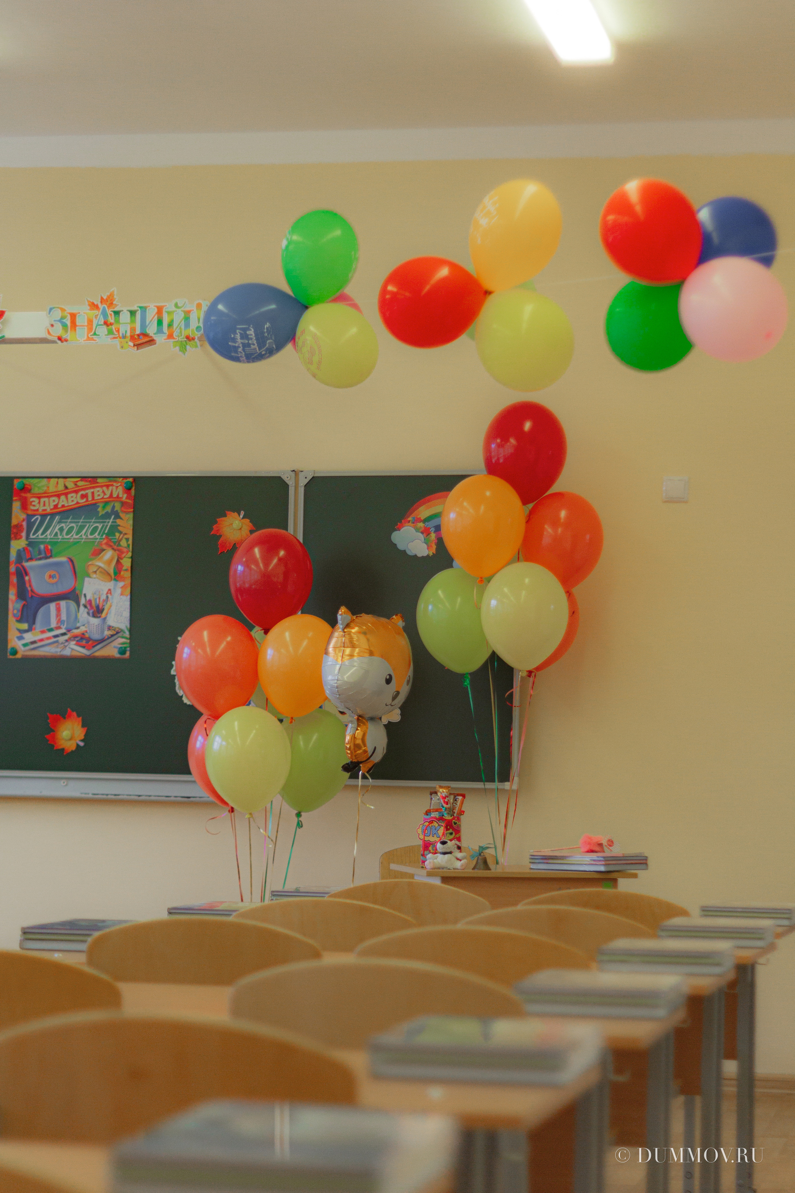 День знаний (Школа 604 Славянка). Фотограф в Санкт-Петербурге