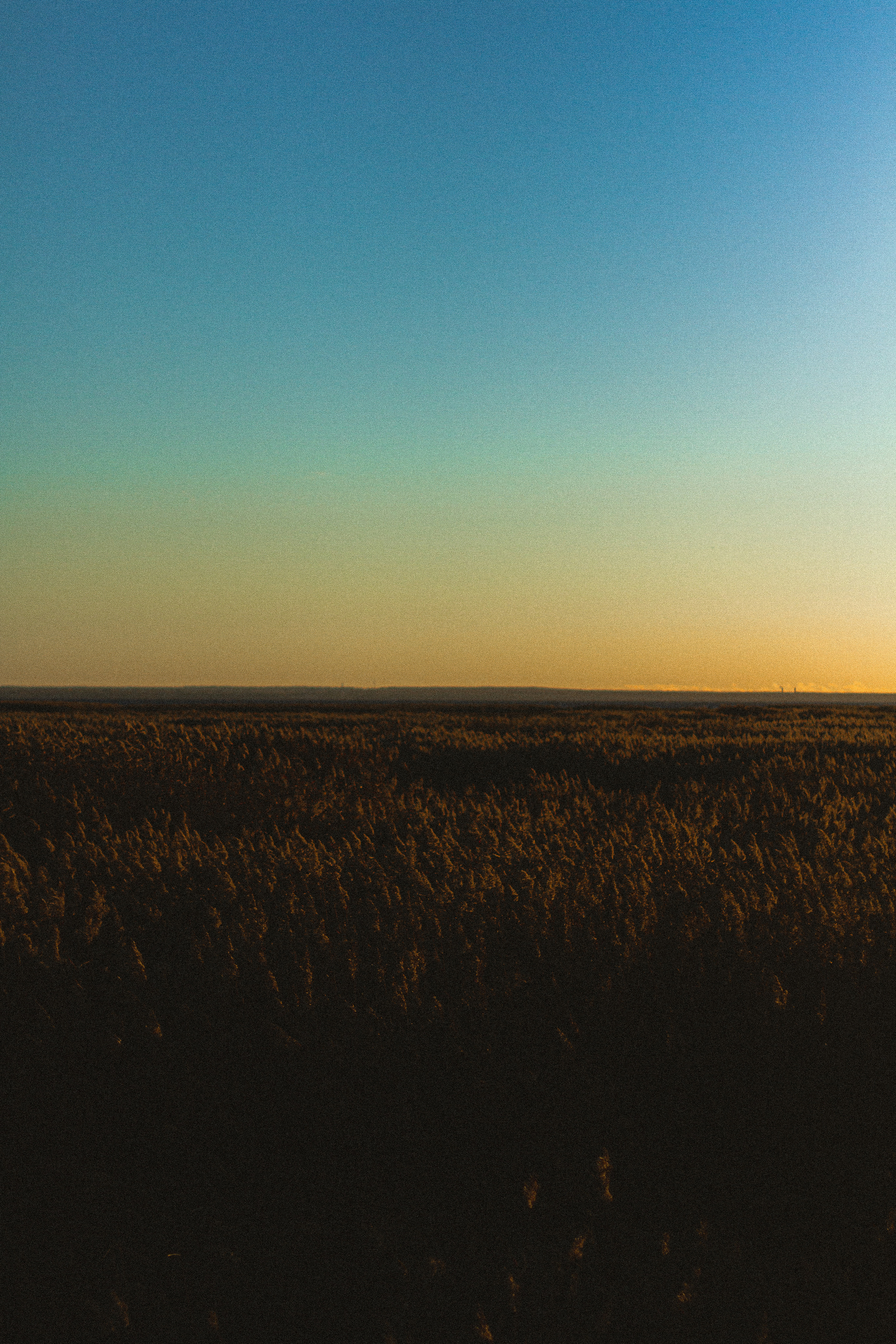 Прогулка по эко-тропе Лисий нос. Фотограф в Санкт-Петербурге