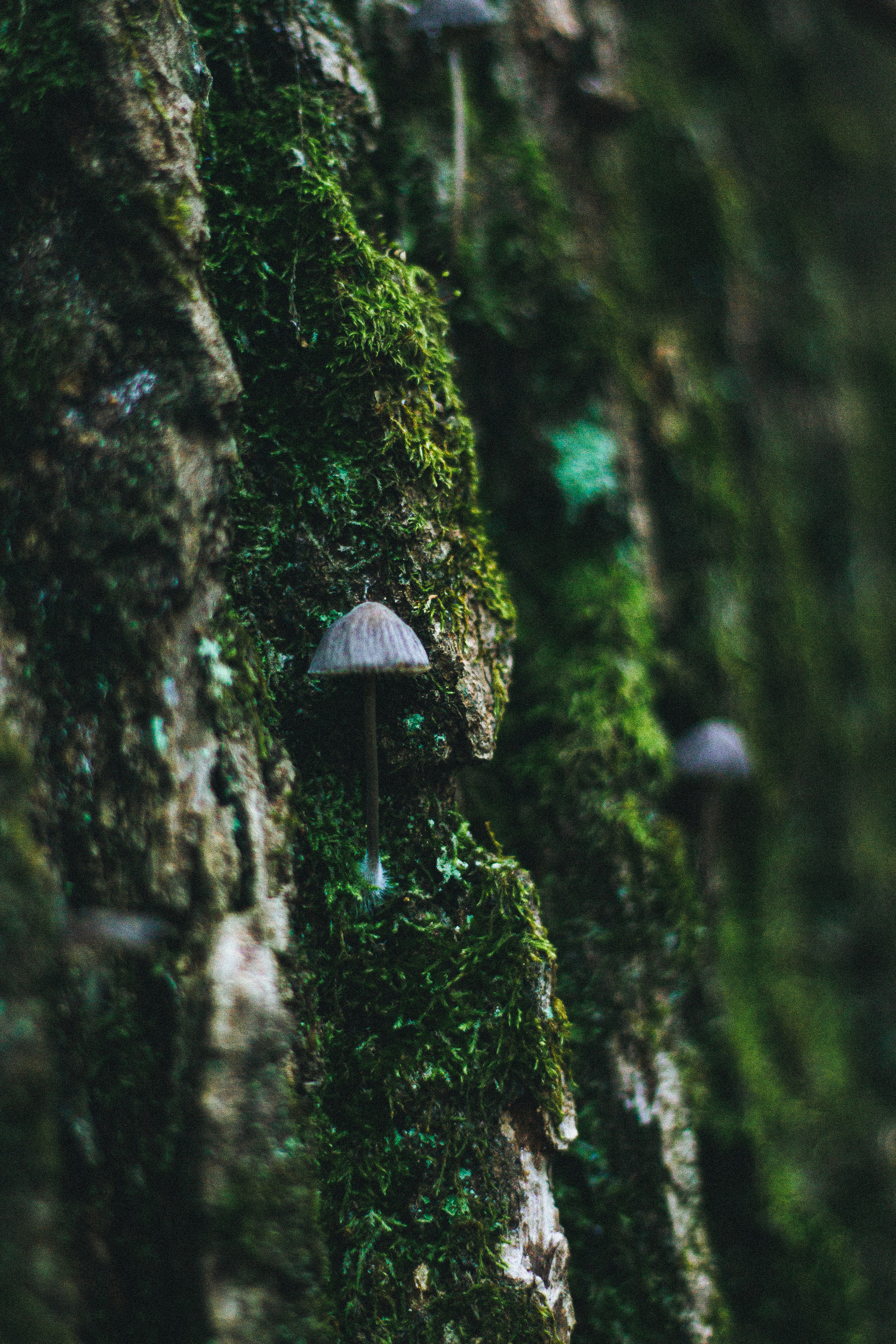 Прогулка по эко-тропе Лисий нос. Фотограф в Санкт-Петербурге