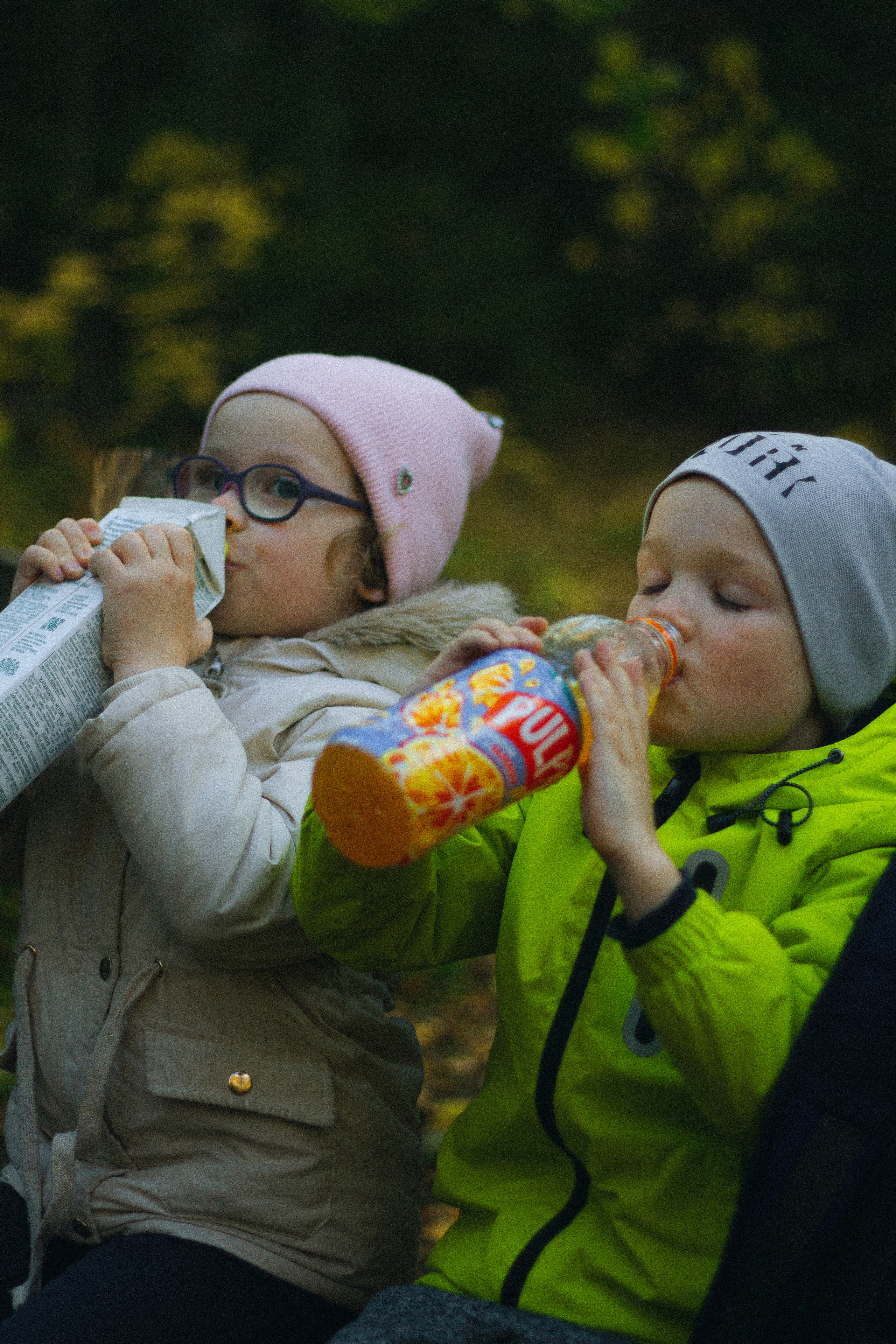 Прогулка по эко-тропе Лисий нос. Фотограф в Санкт-Петербурге