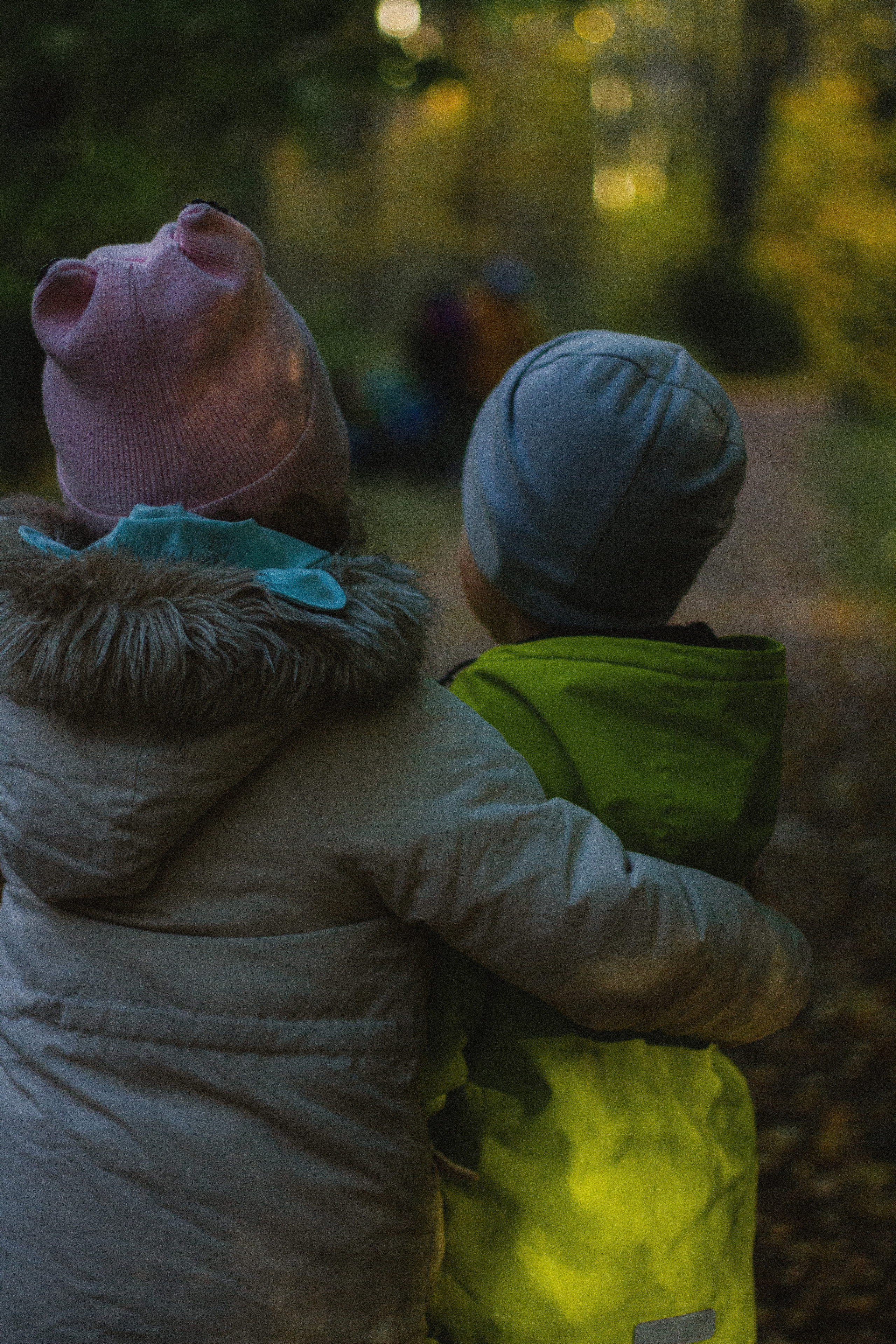 Прогулка по эко-тропе Лисий нос. Фотограф в Санкт-Петербурге