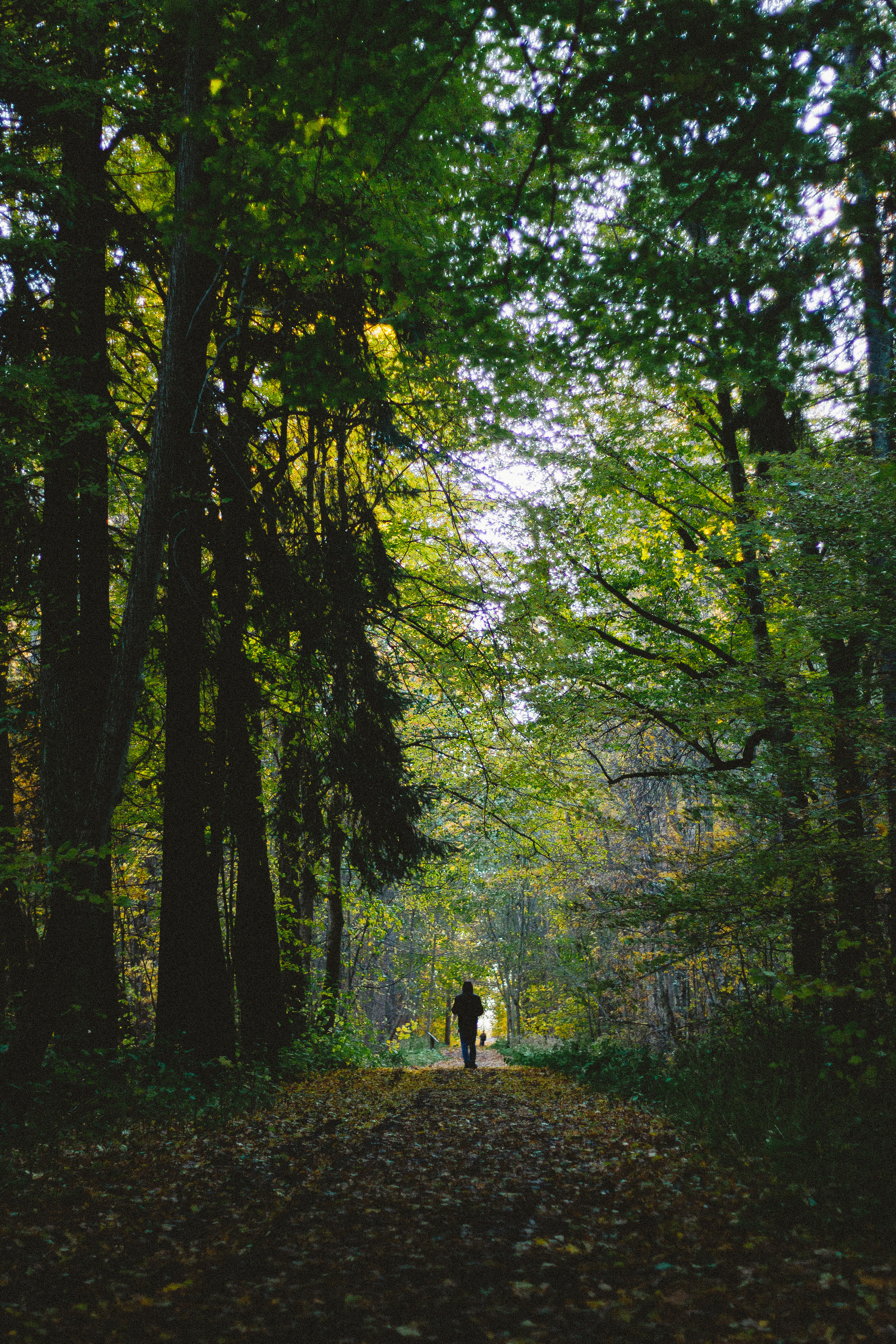Прогулка по эко-тропе Лисий нос. Фотограф в Санкт-Петербурге