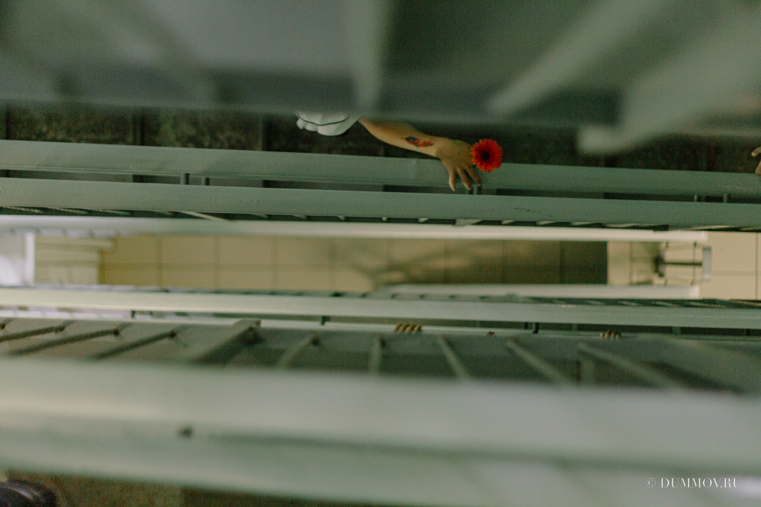 День знаний (Школа 604 Славянка). Фотограф в Санкт-Петербурге