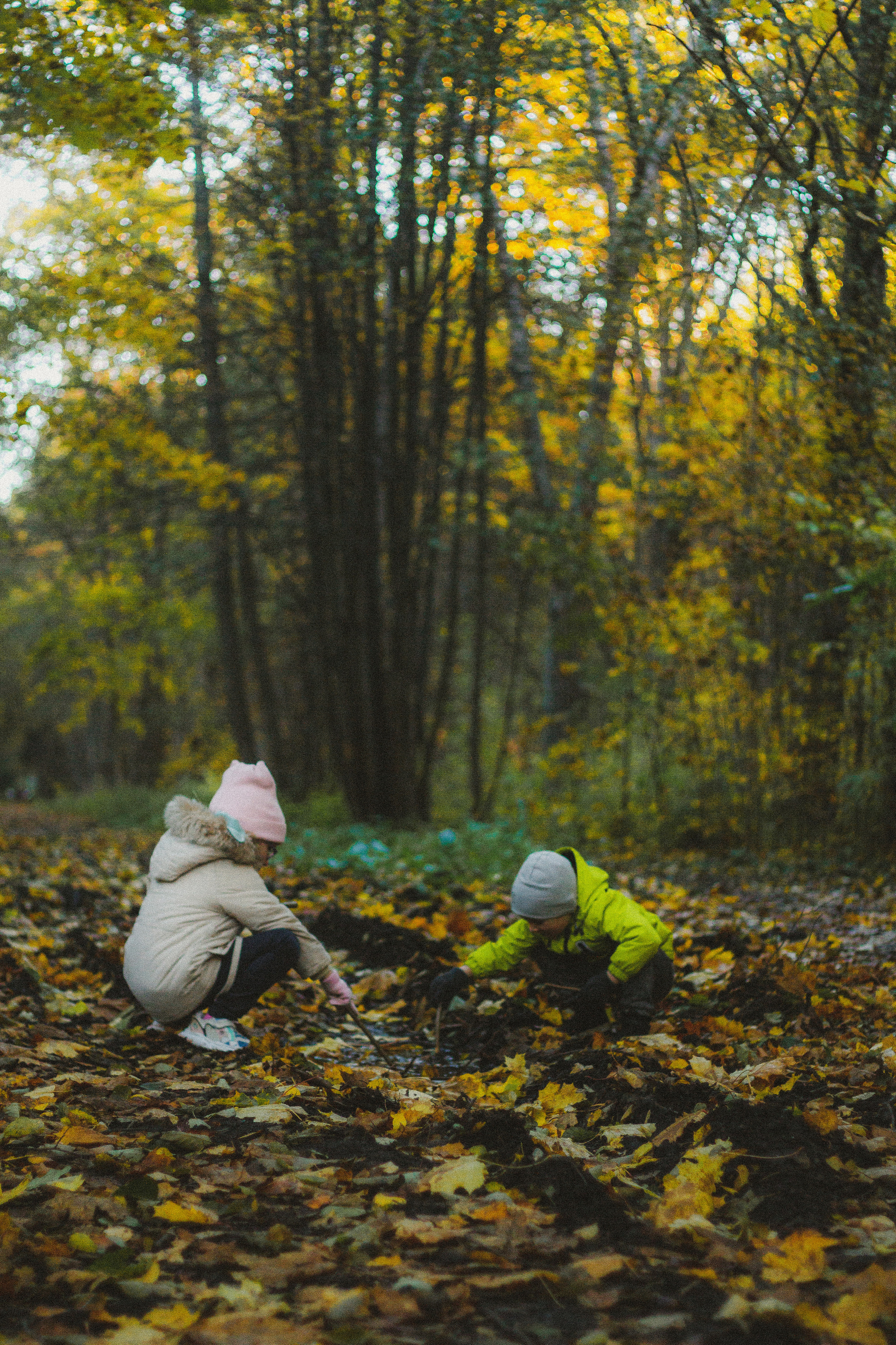 Прогулка по эко-тропе Лисий нос. Фотограф в Санкт-Петербурге