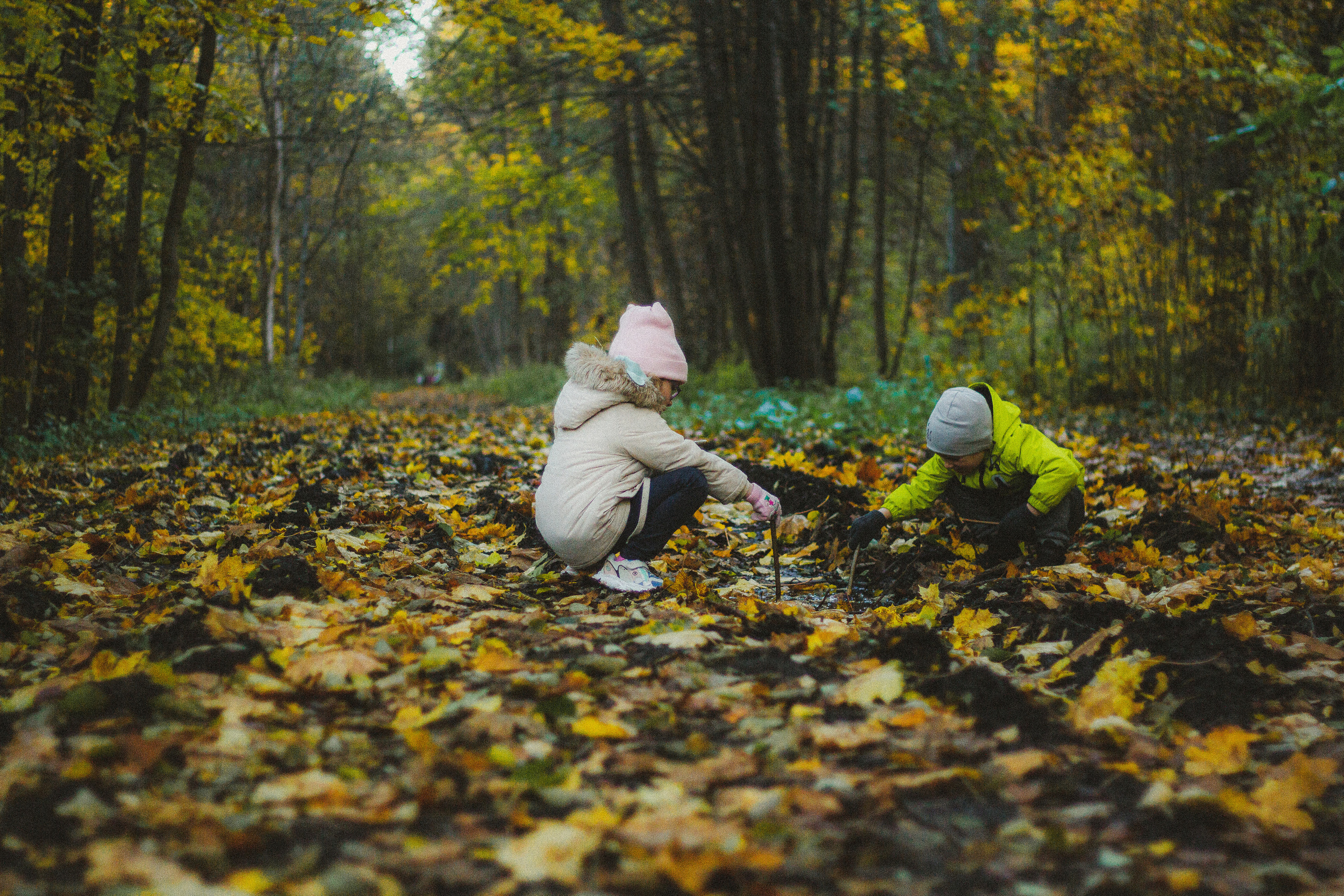 Прогулка по эко-тропе Лисий нос. Фотограф в Санкт-Петербурге