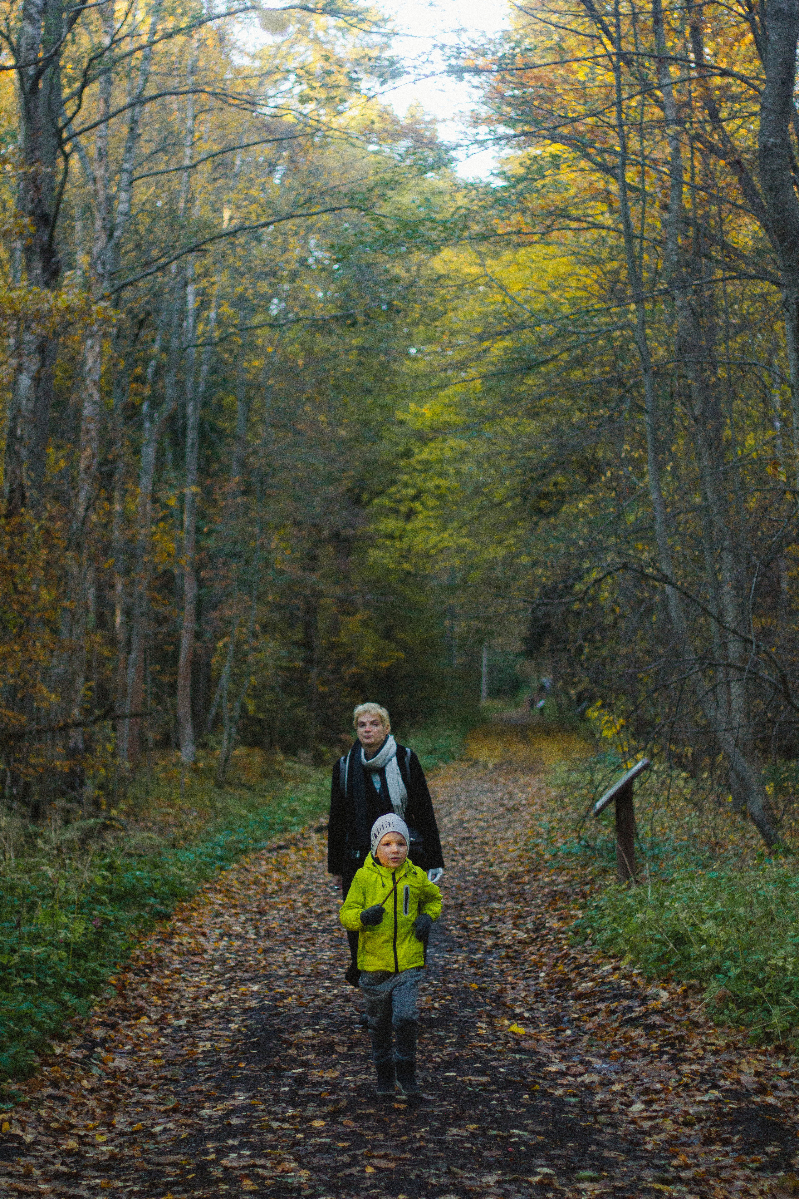 Прогулка по эко-тропе Лисий нос. Фотограф в Санкт-Петербурге