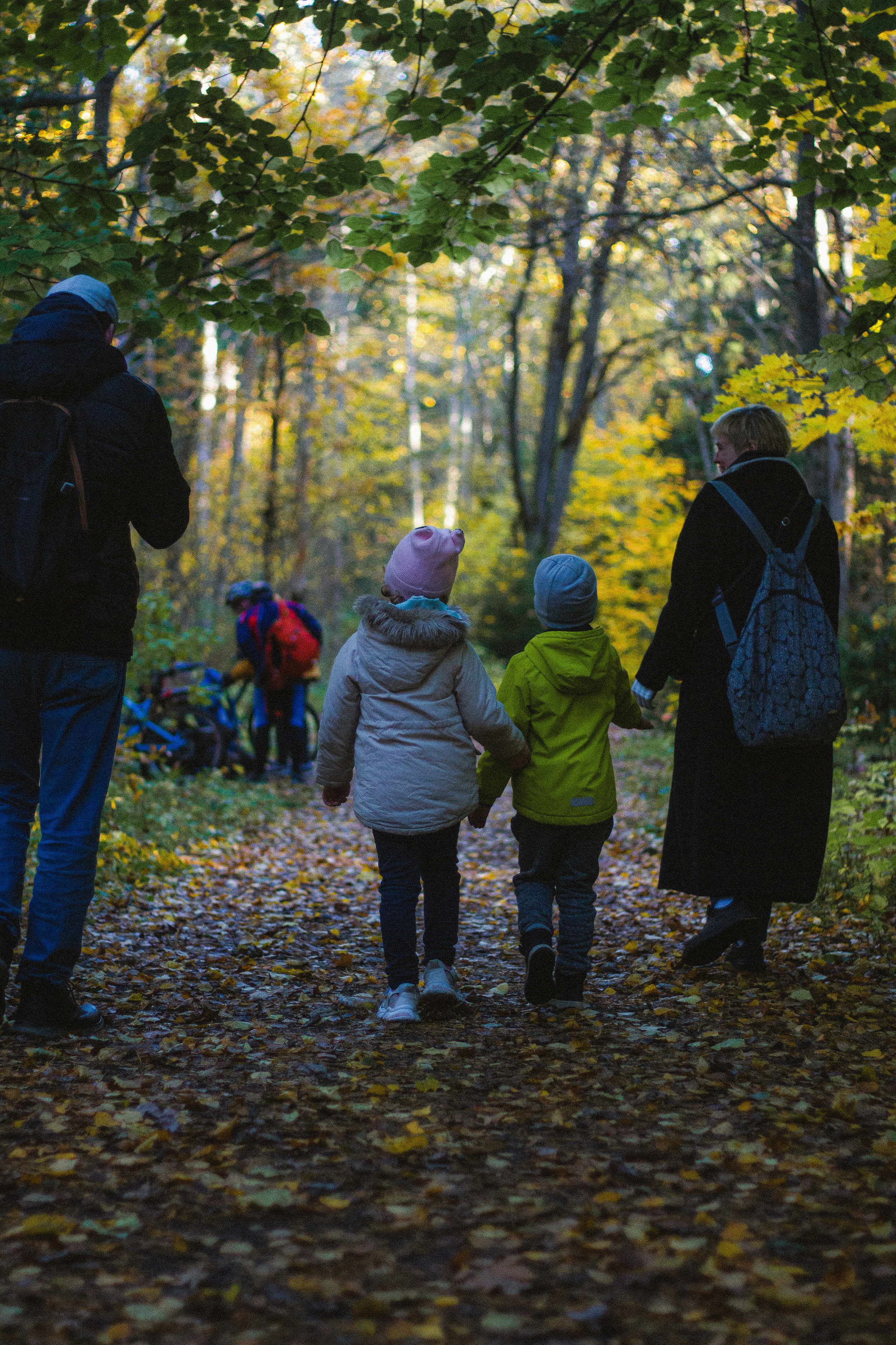 Прогулка по эко-тропе Лисий нос. Фотограф в Санкт-Петербурге