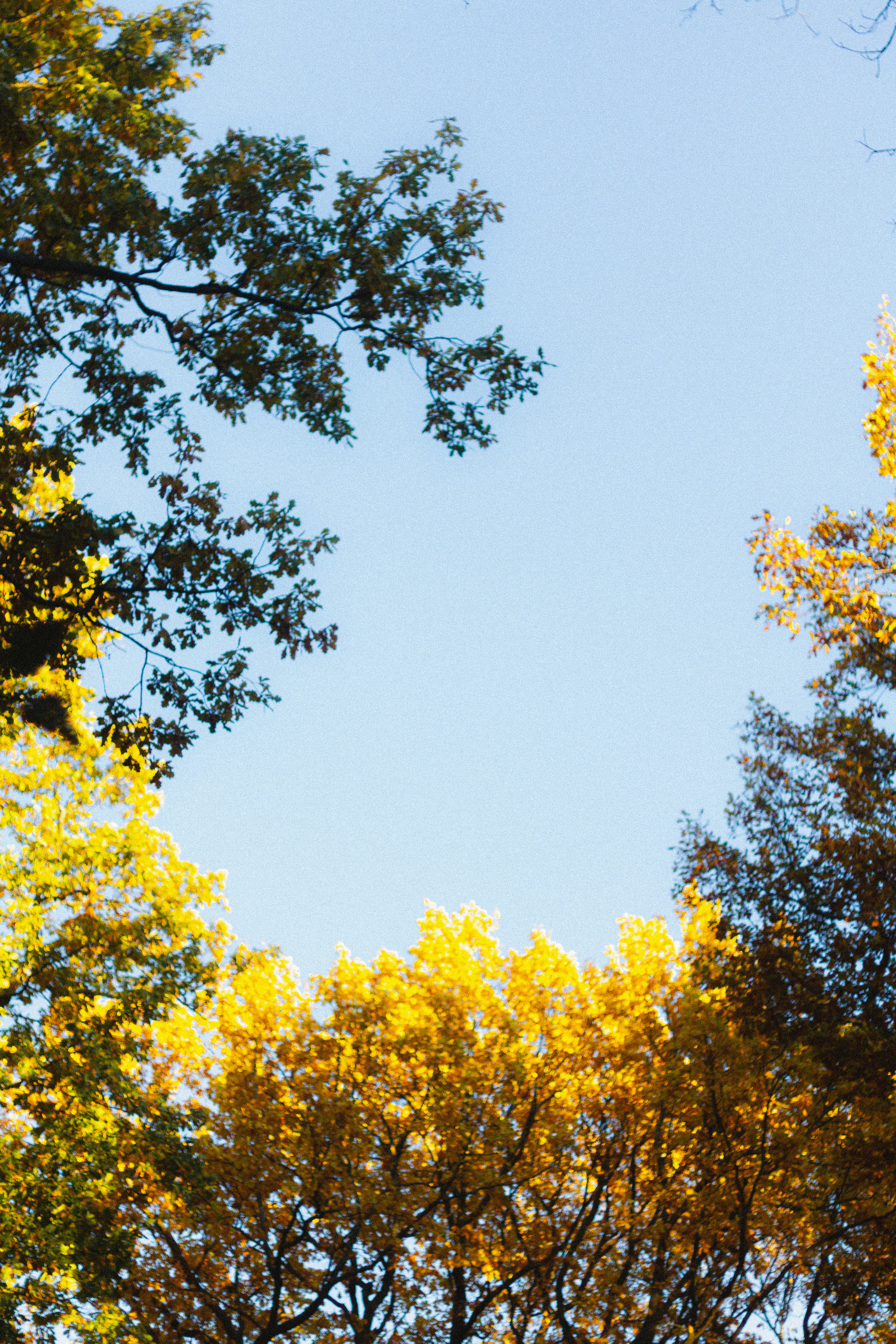Прогулка по эко-тропе Лисий нос. Фотограф в Санкт-Петербурге