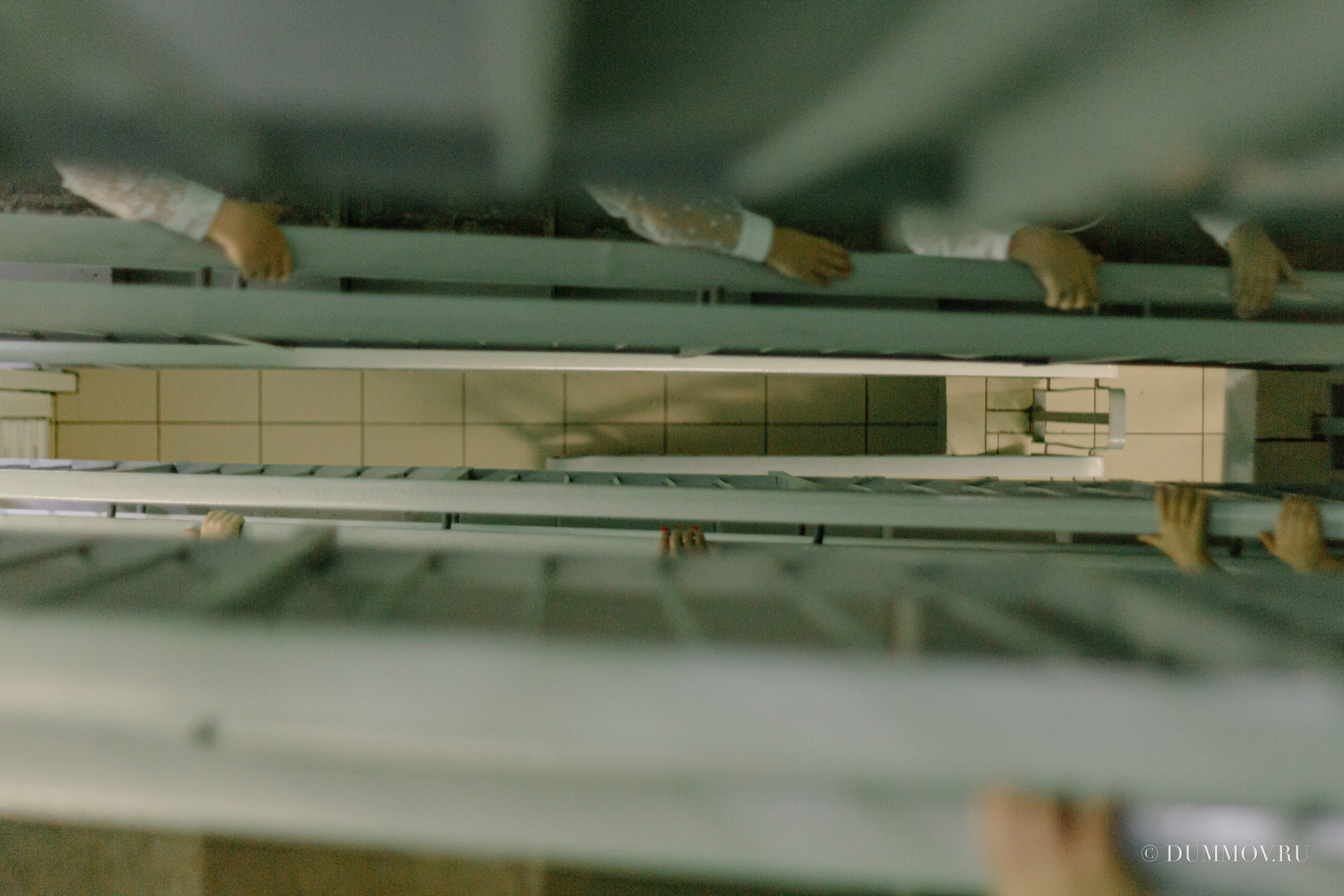 День знаний (Школа 604 Славянка). Фотограф в Санкт-Петербурге