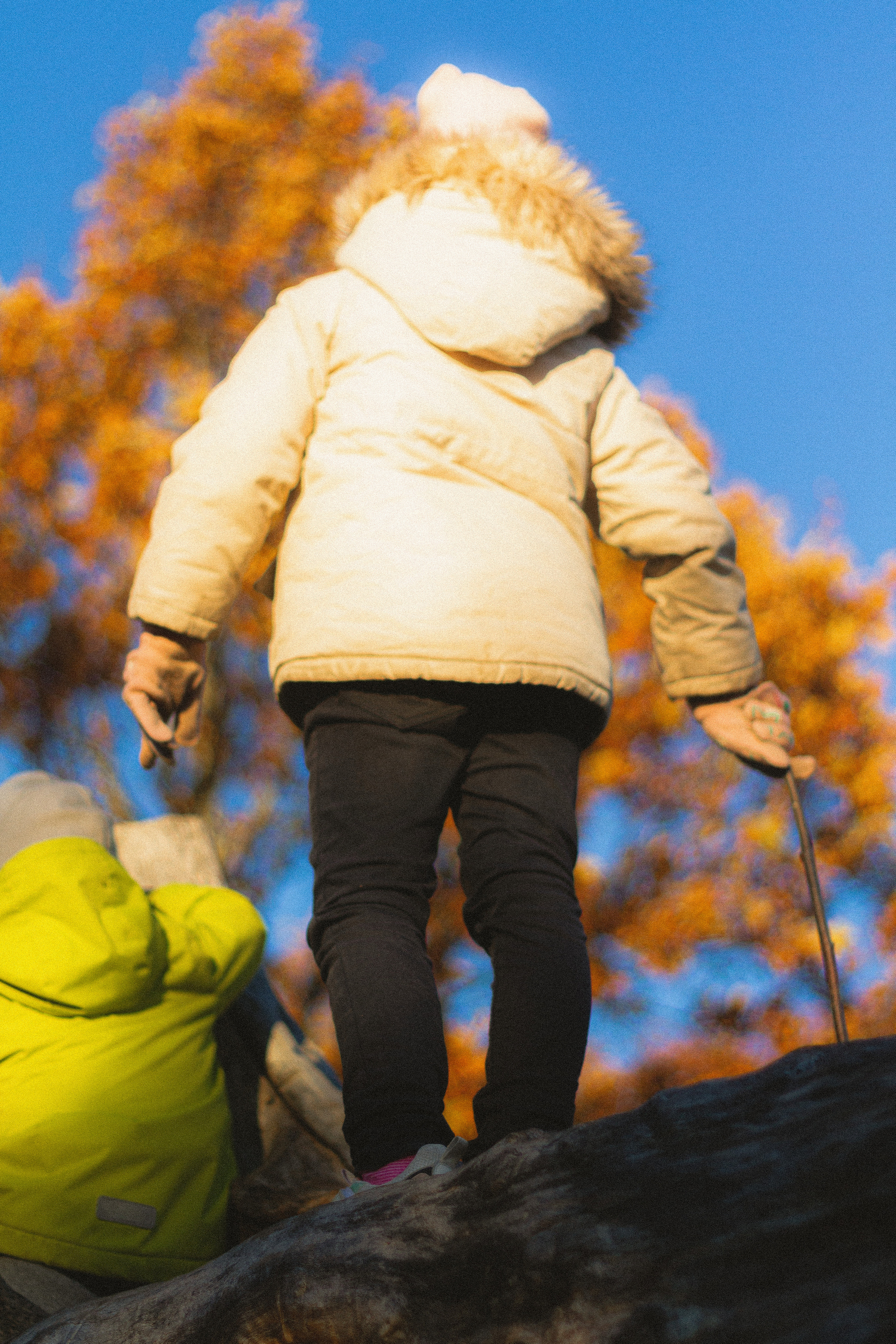 Прогулка по эко-тропе Лисий нос. Фотограф в Санкт-Петербурге