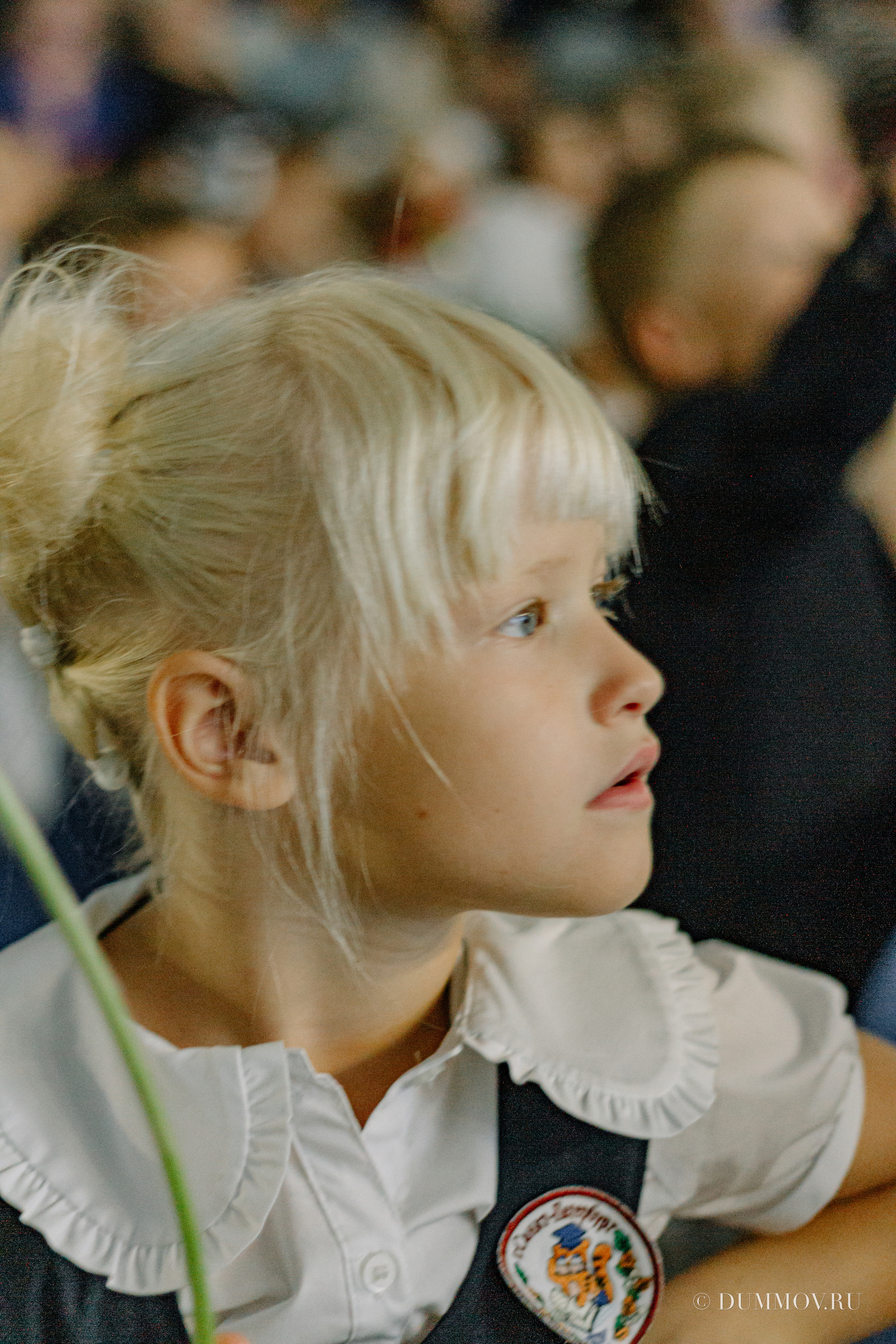 День знаний (Школа 604 Славянка). Фотограф в Санкт-Петербурге