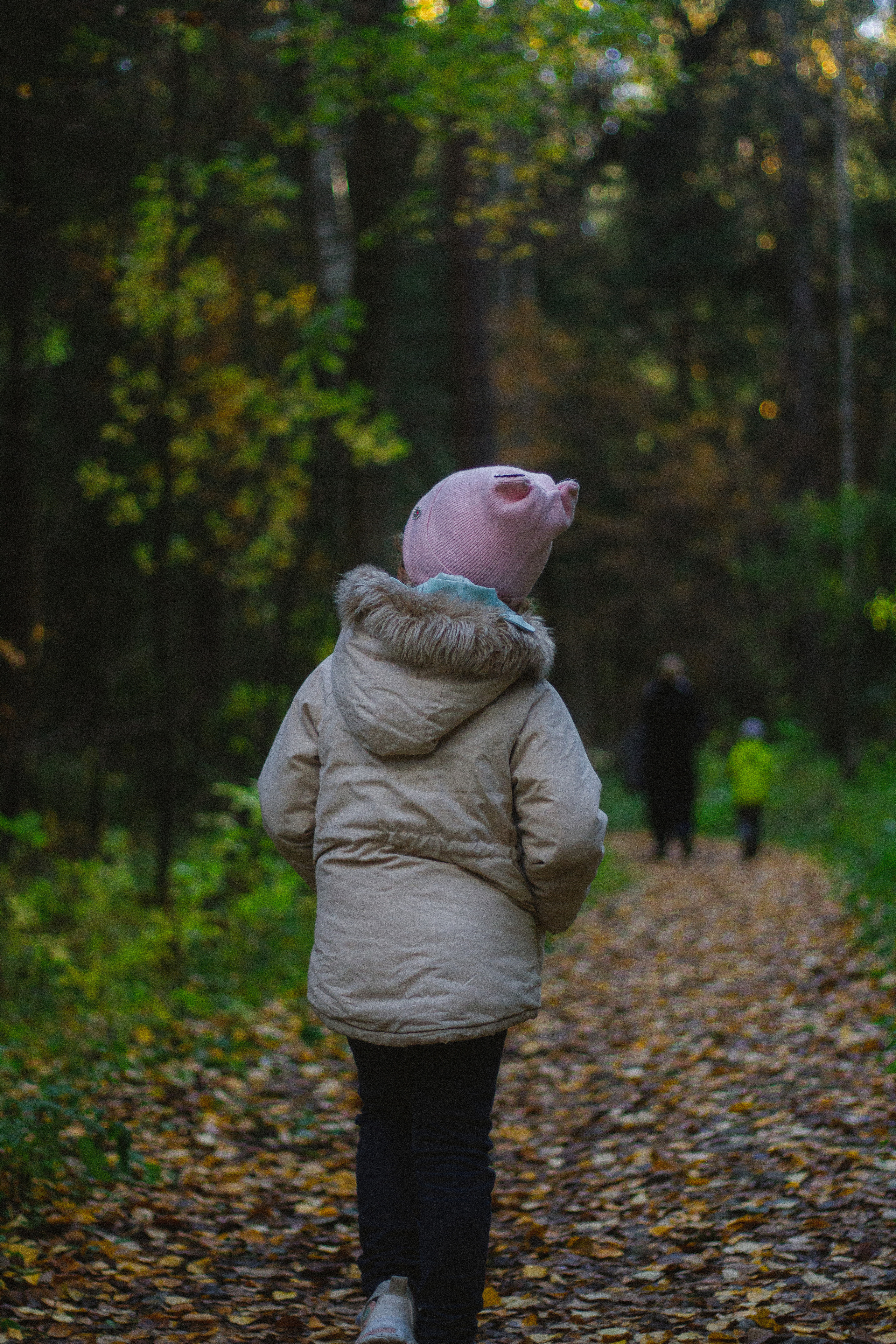 Прогулка по эко-тропе Лисий нос. Фотограф в Санкт-Петербурге