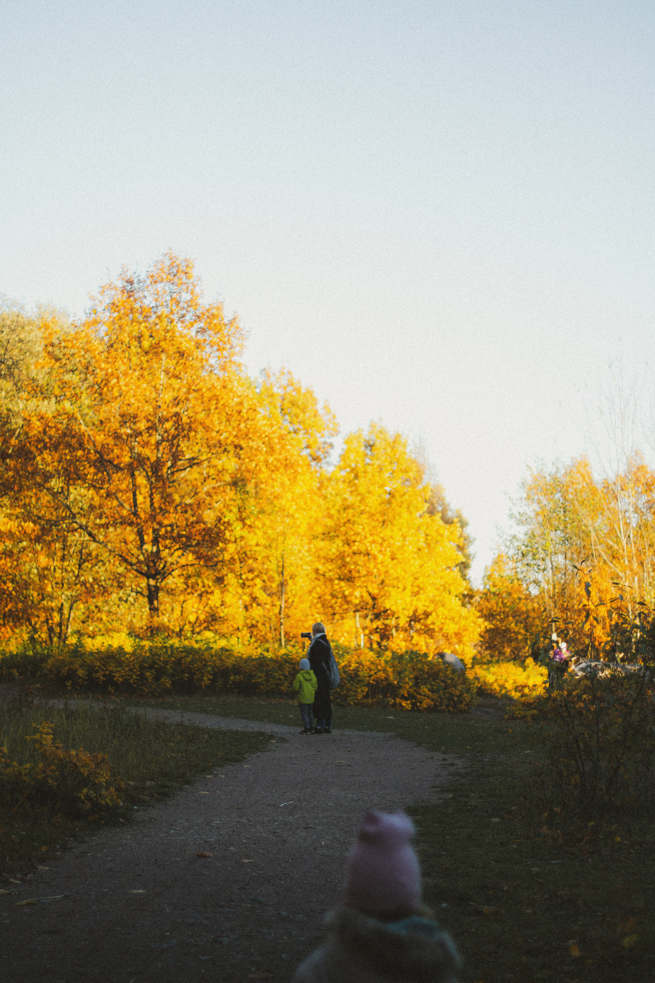 Прогулка по эко-тропе Лисий нос. Фотограф в Санкт-Петербурге