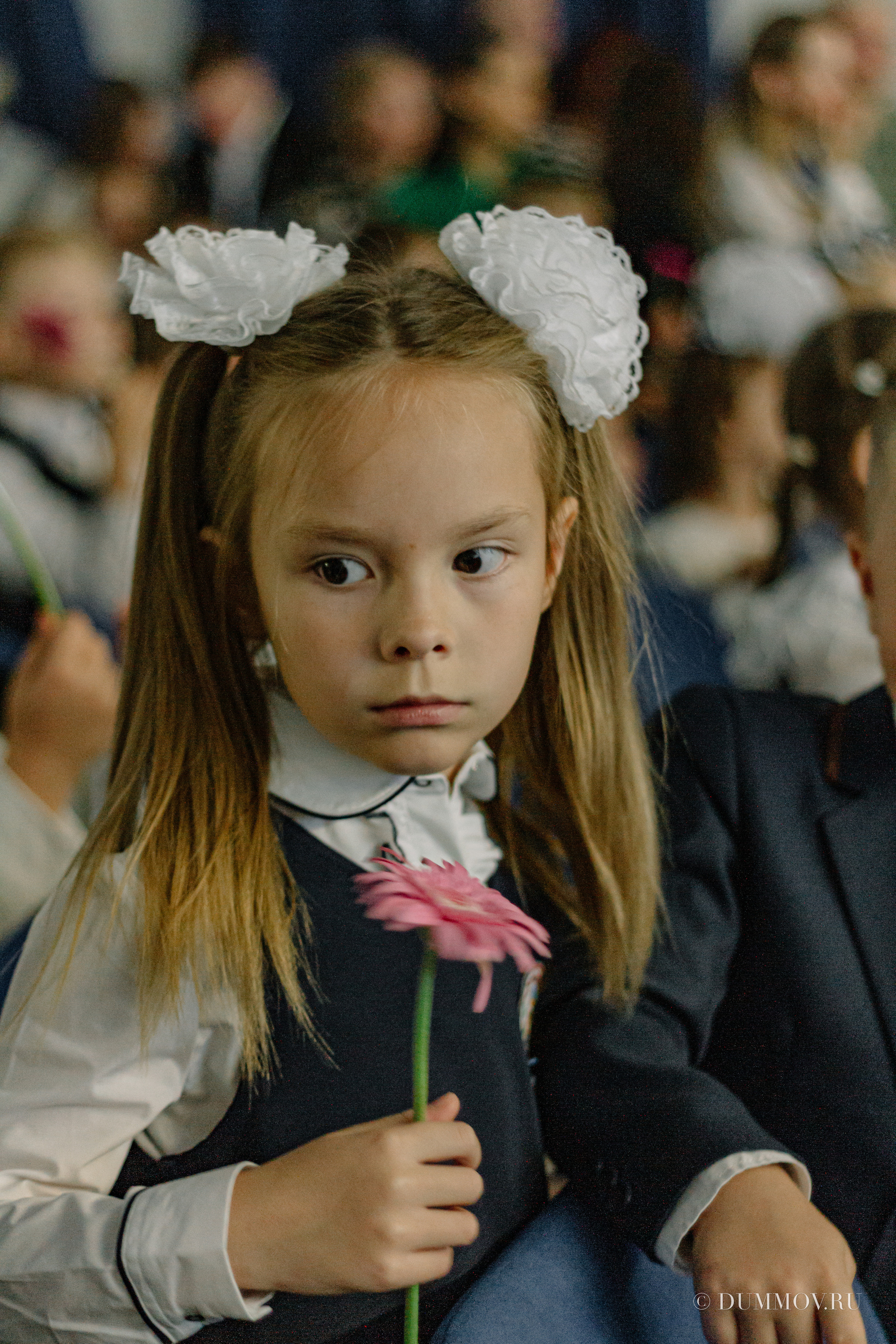 День знаний (Школа 604 Славянка). Фотограф в Санкт-Петербурге