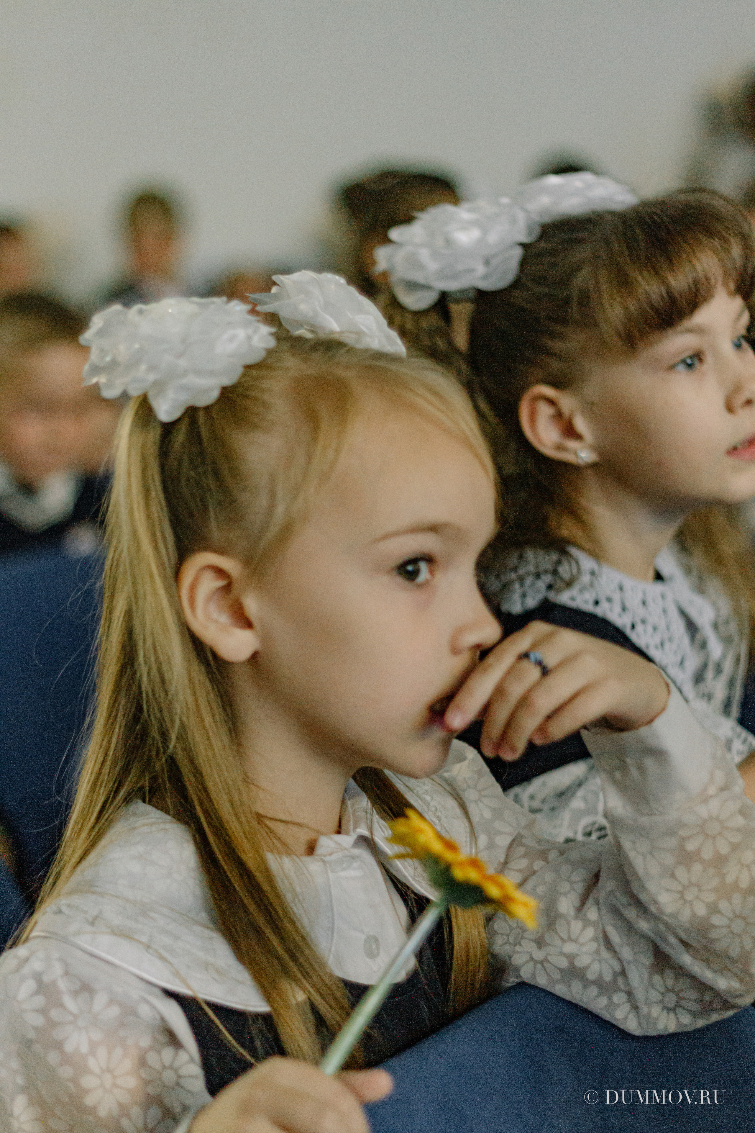 День знаний (Школа 604 Славянка). Фотограф в Санкт-Петербурге