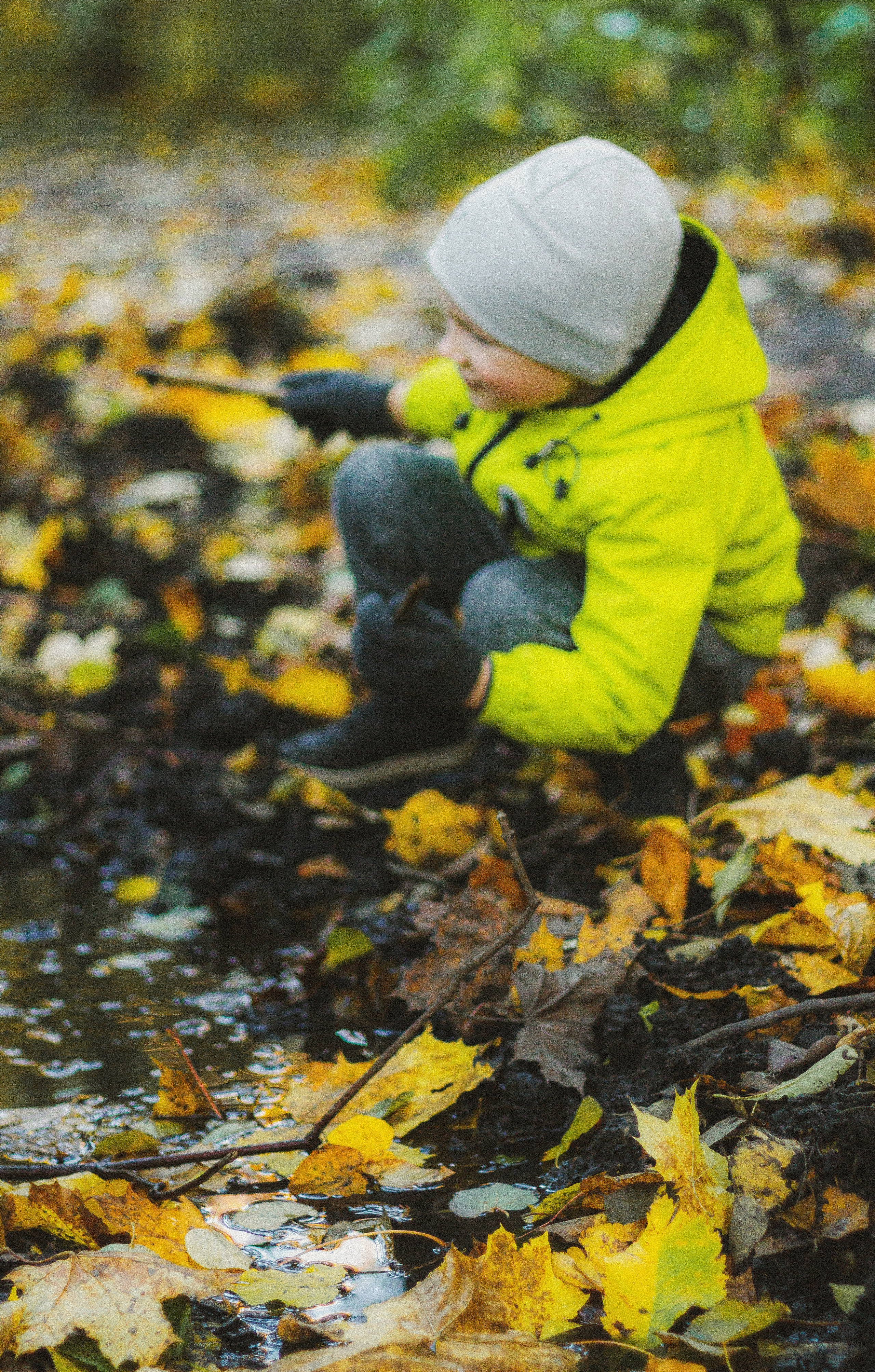 Прогулка по эко-тропе Лисий нос. Фотограф в Санкт-Петербурге