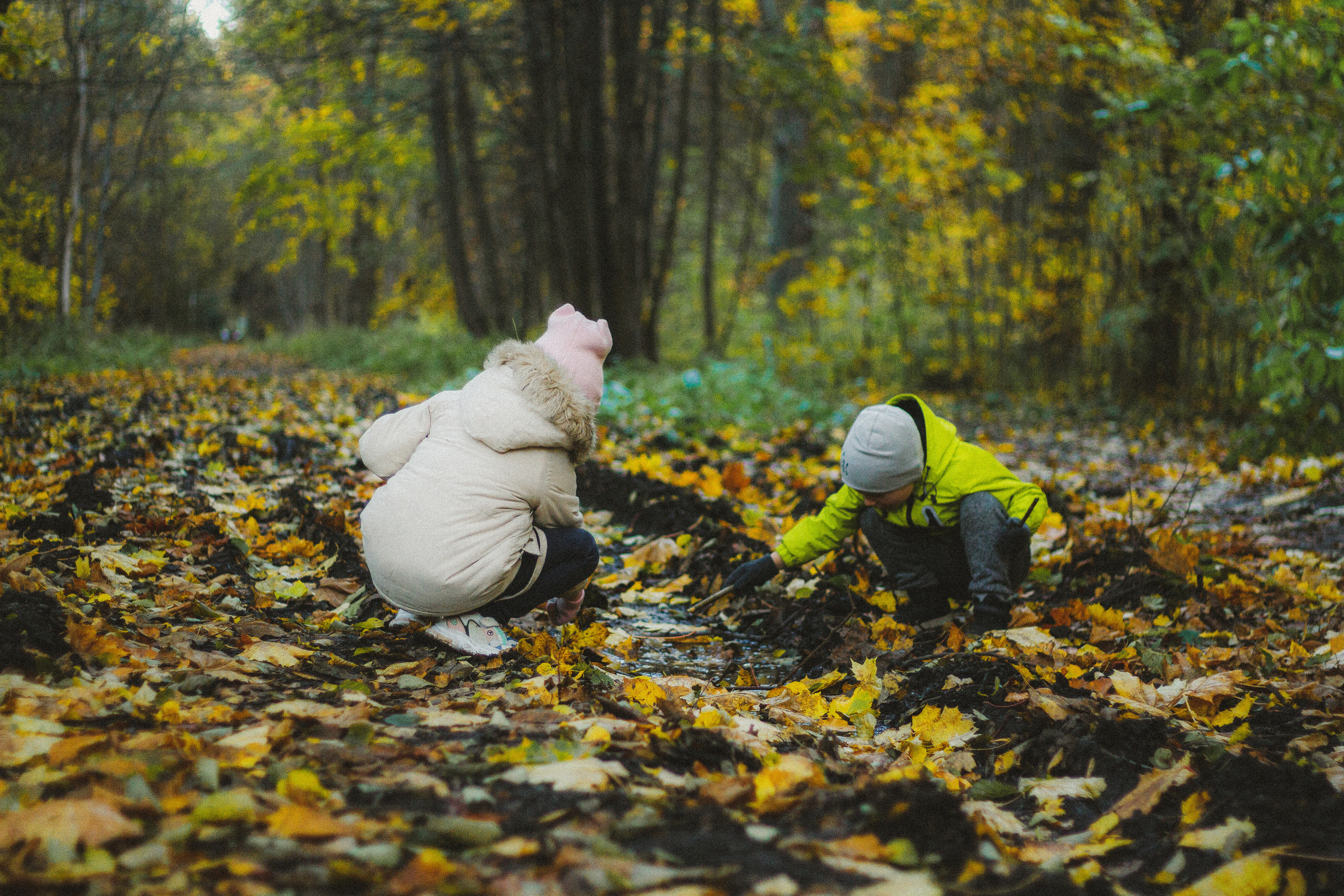 Прогулка по эко-тропе Лисий нос. Фотограф в Санкт-Петербурге