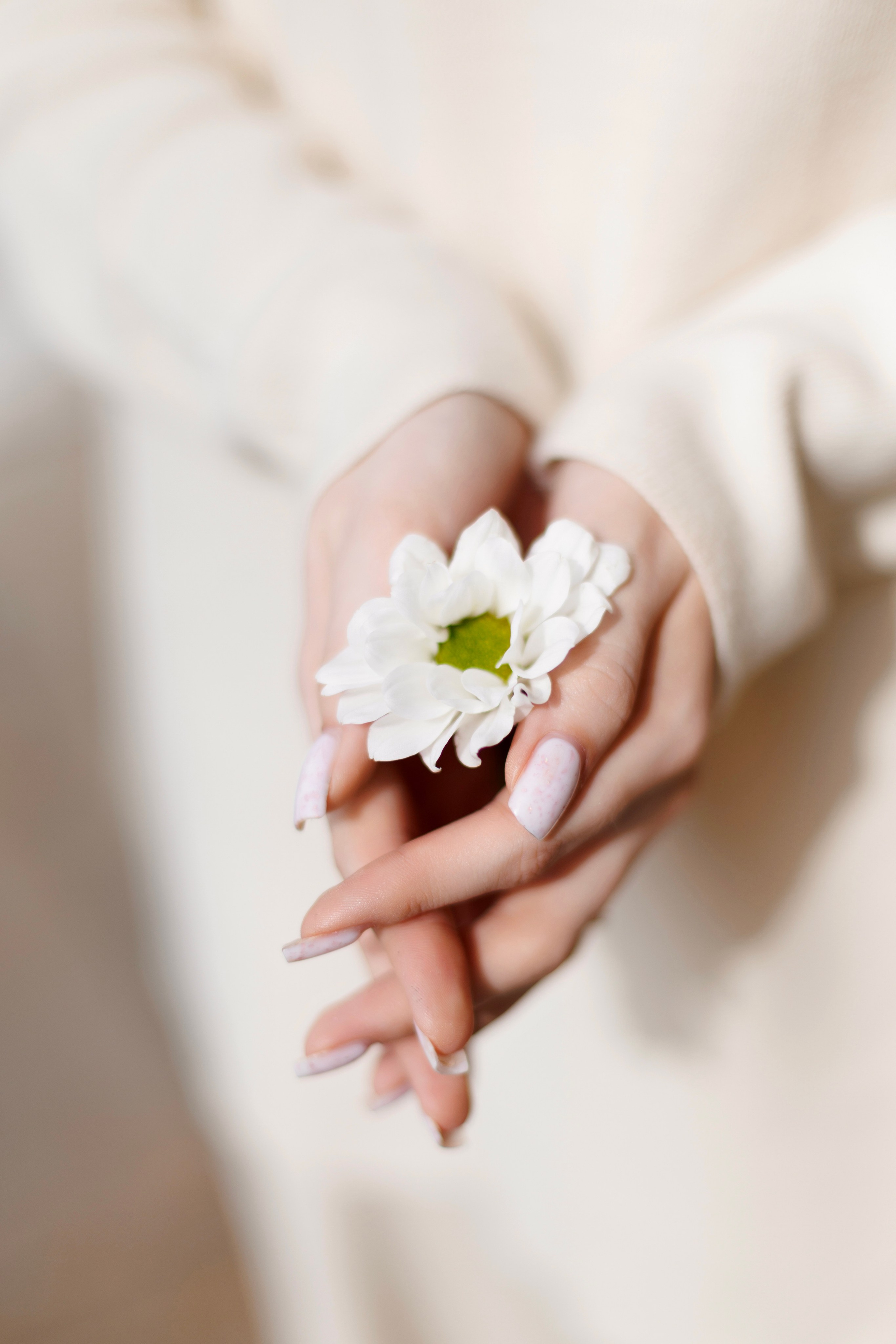 Виолетта. Свадебный и портретный фотограф в Миассе Филиппенко Дарья