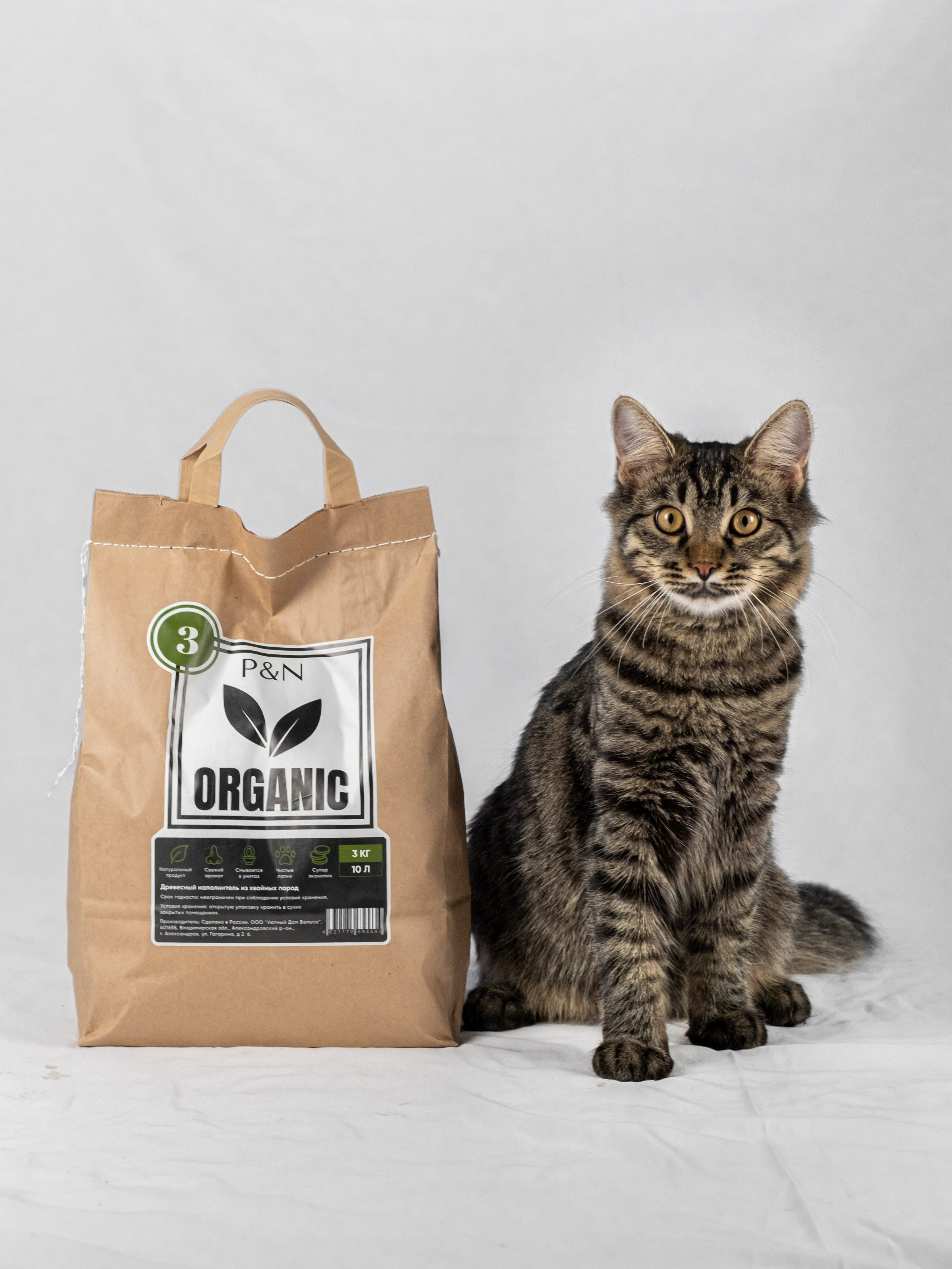 Древесный наполнитель для кошек, для Анастасии!. Зоофотограф, фотограф животных в Москве и области Дина Дамоцева