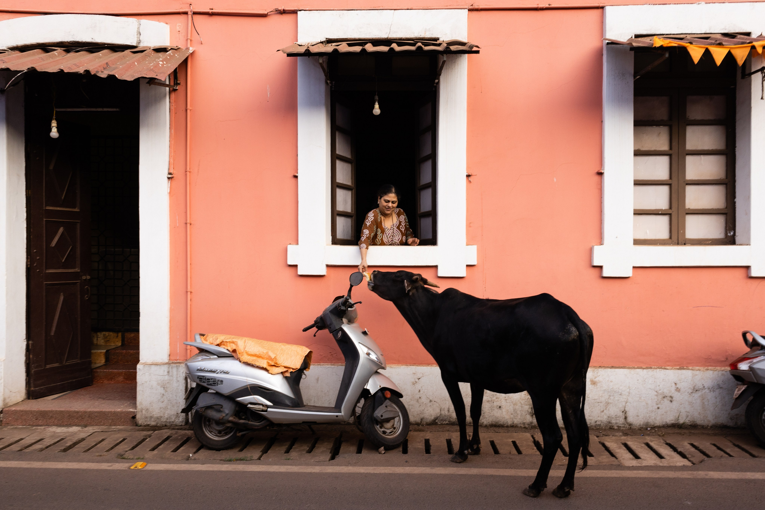ГОА 2024. Руслан Плахтеев