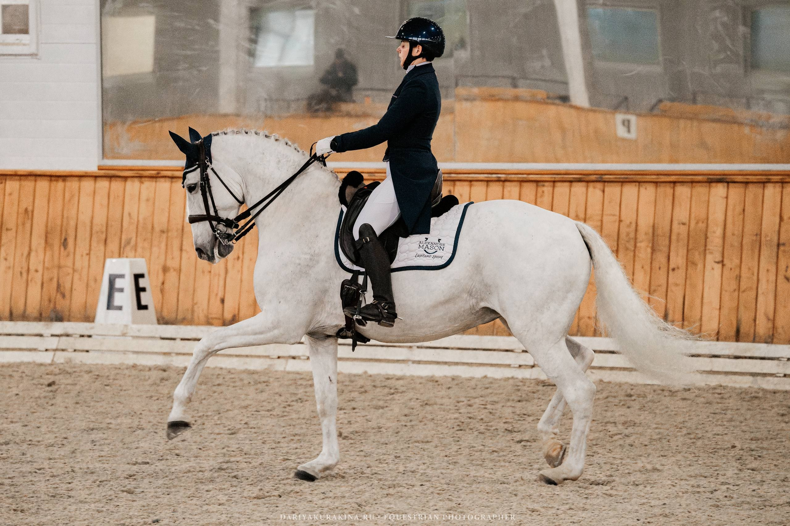 ОСЕННИЙ КУБОК по ВЫЕЗДКЕ в КСК «КОНКОРД». Куракина Дарья • Конный фотограф