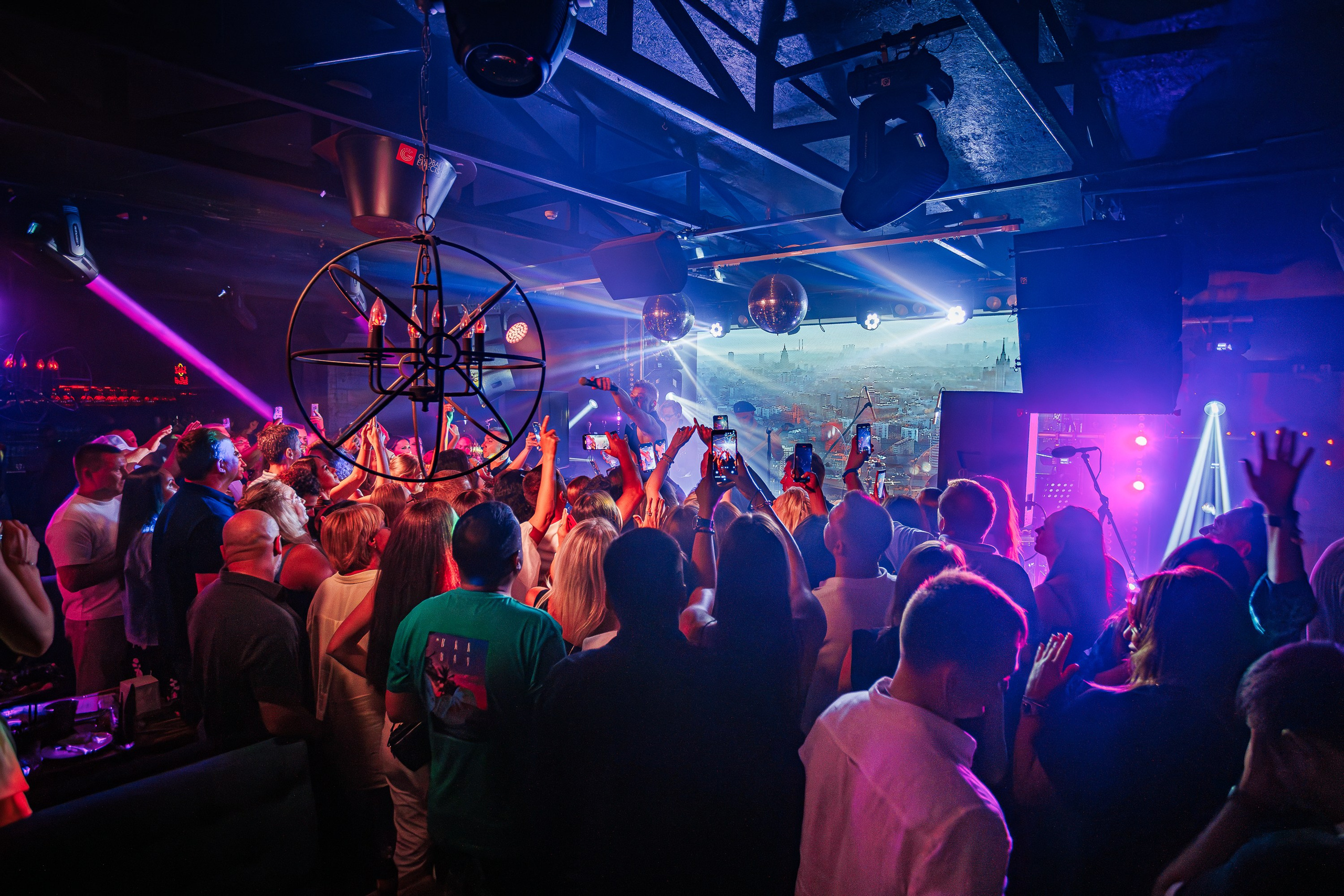 «Митя Фомин"_Чайка на пляже_Ялта_28.06.2025 г. Аминов Руслан | Фотограф