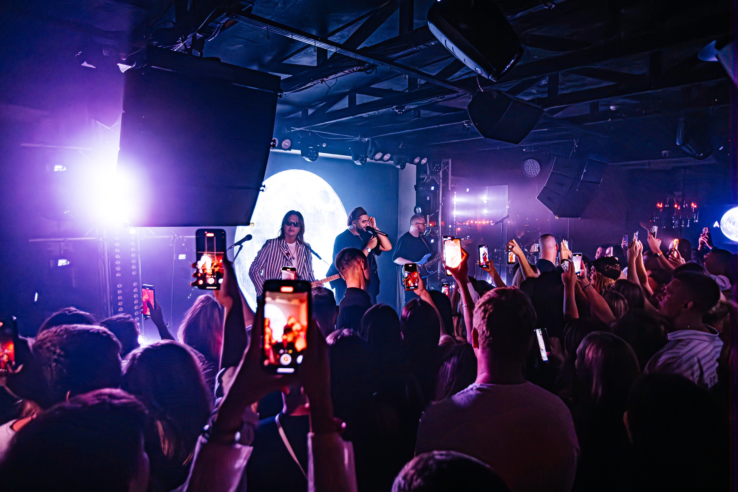 Чайка_на_пляже_Андро_Ялта_24.08.2024. Аминов Руслан | Фотограф