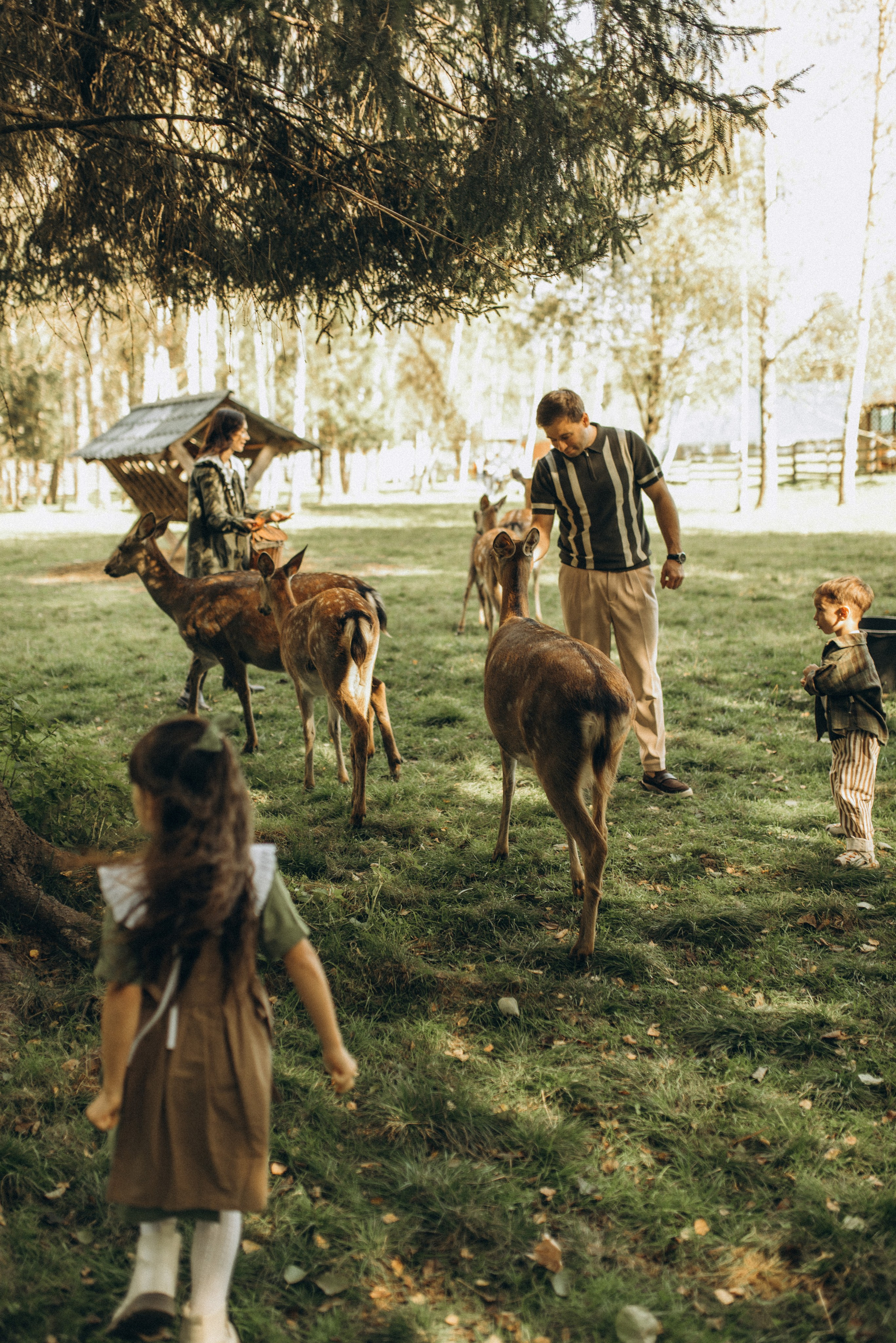 Прогулка к оленям. Семейный фотограф в Москве Екатерина Север