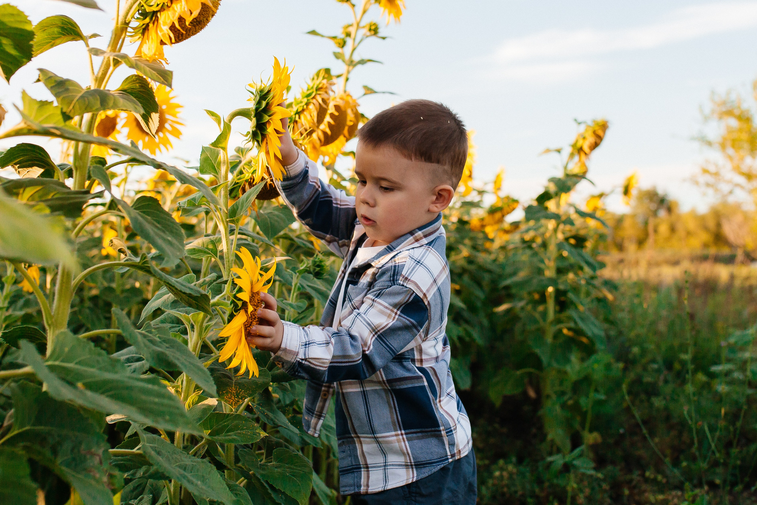 Семенкины. Фотограф в Большой Черниговка, Самаре. Некрасова Виктория