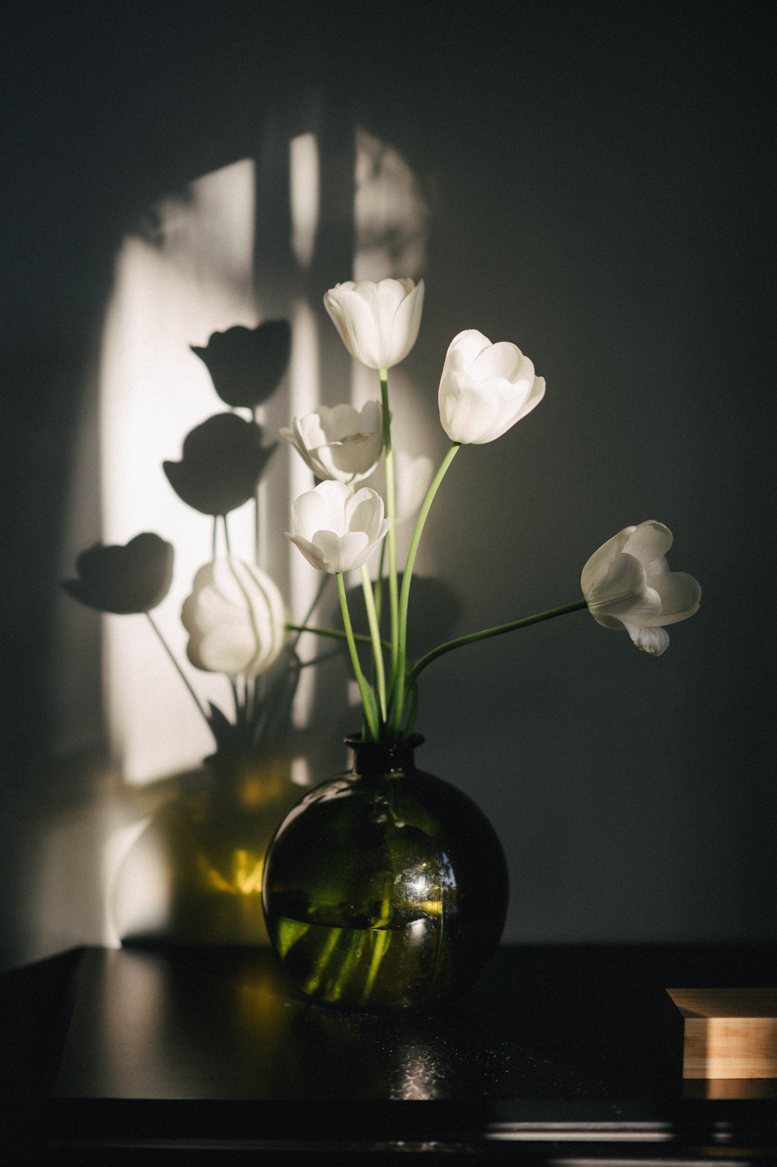 J&O. Свадебный фотограф Минск