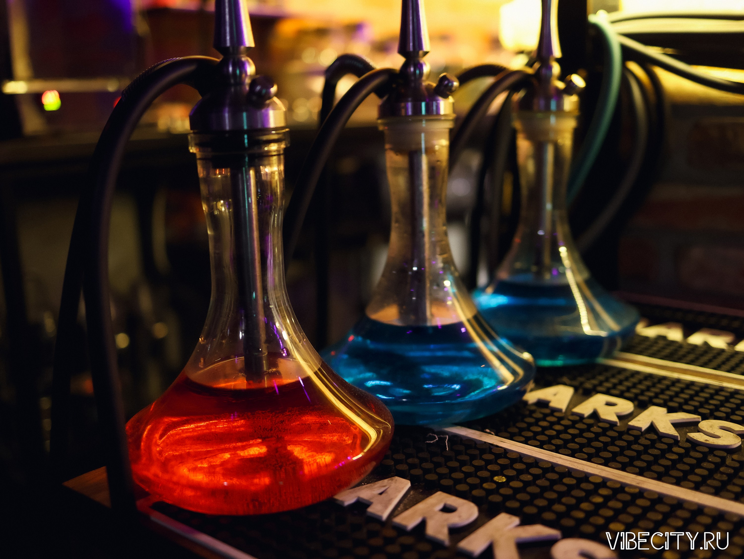 Мята Lounge. VIBECITY.RU Вайб Сити Ру Фоторепортажи Фотоотчеты Калининград