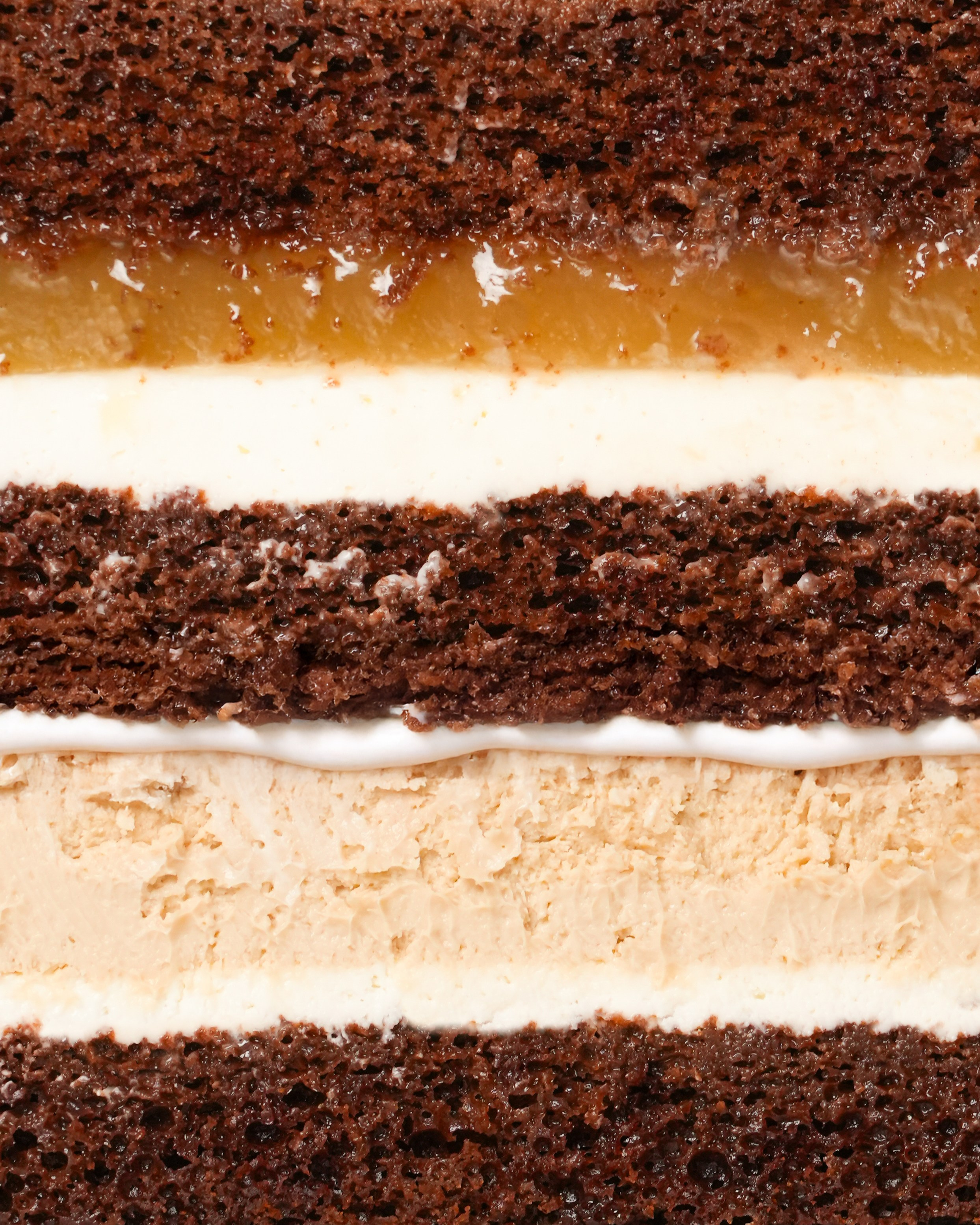 Sama Atelier. AMODEO STUDIO