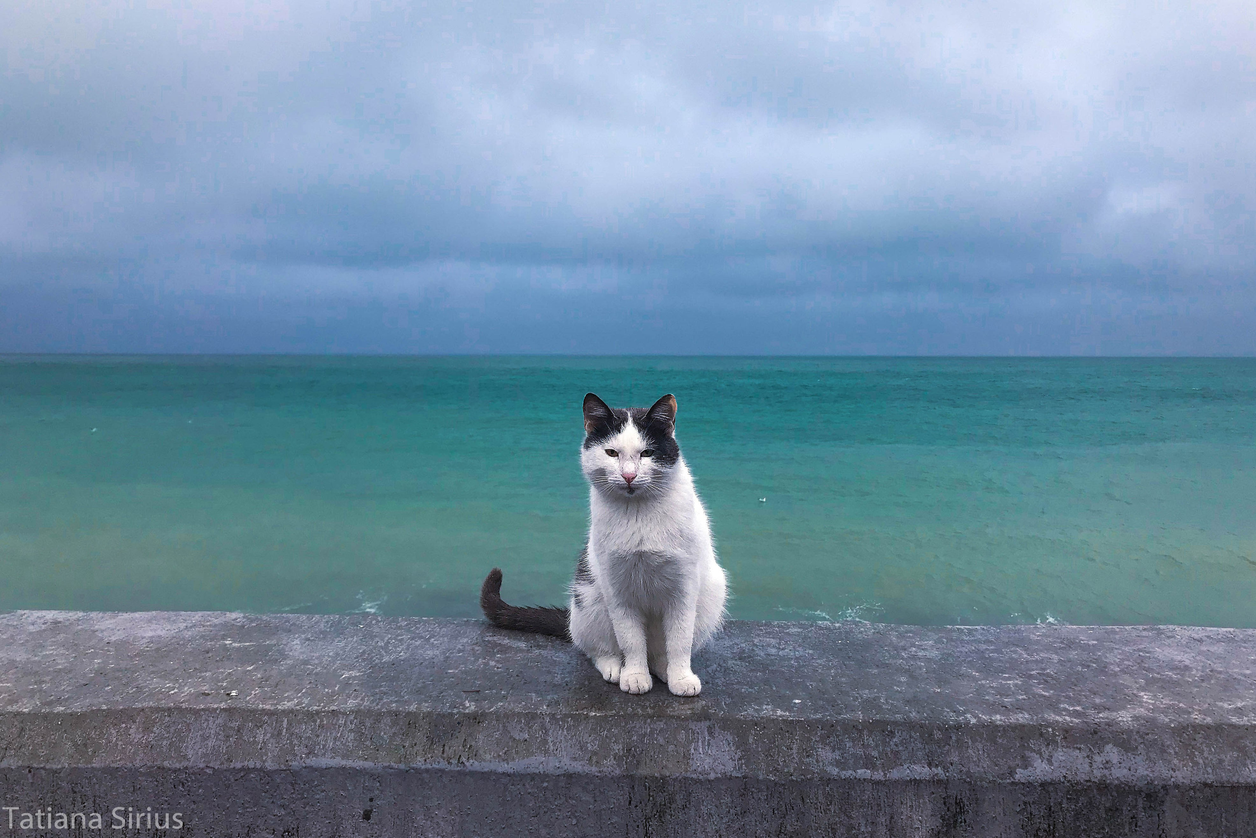 Автор: Татьяна Сириус