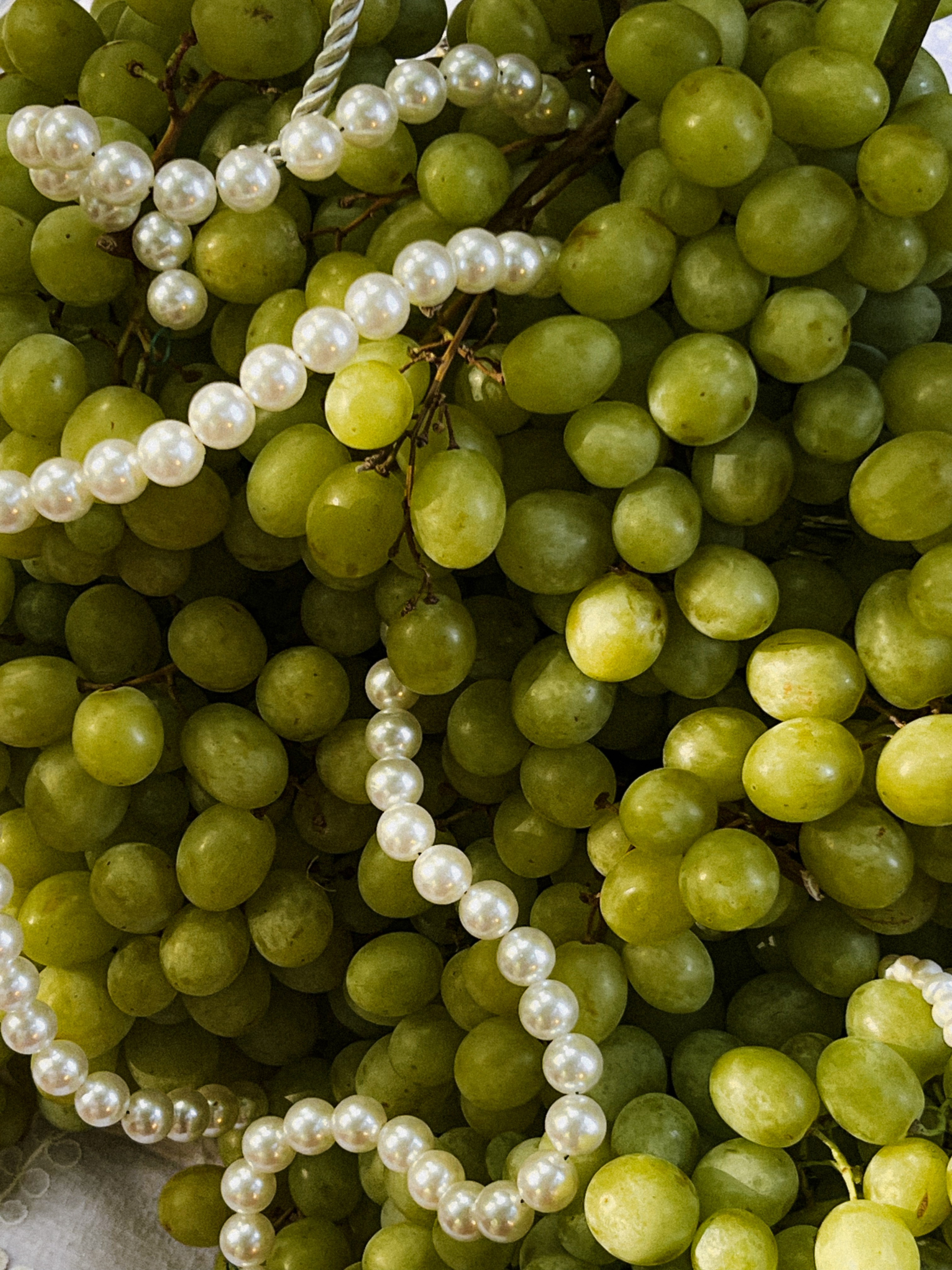 Первая встреча проекта Vmeste.Klassno «Италия». Vmeste.Klassno