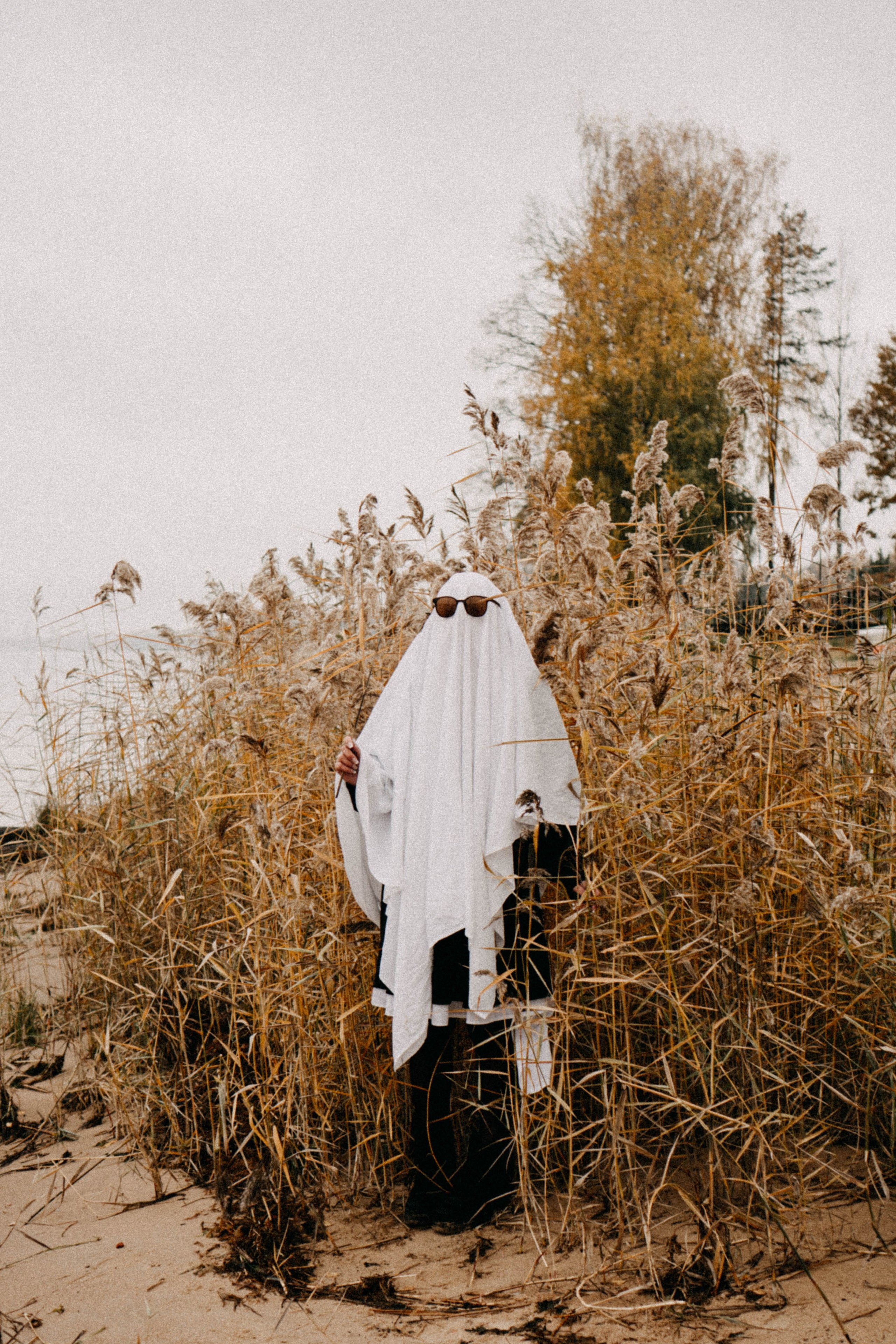 Осеняя. Профессиональный фотограф, Санкт-Петербург — Виктория Богомолова