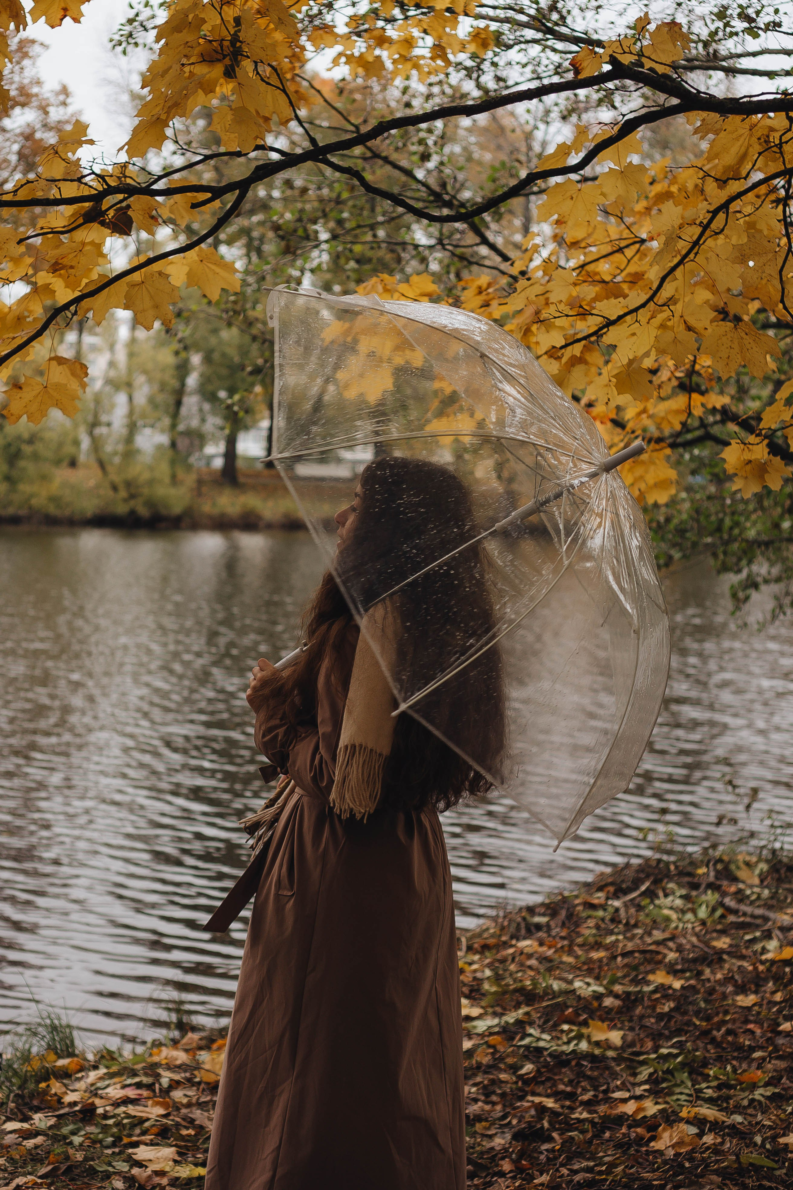 Осень. Профессиональный фотограф, Санкт-Петербург — Виктория Богомолова