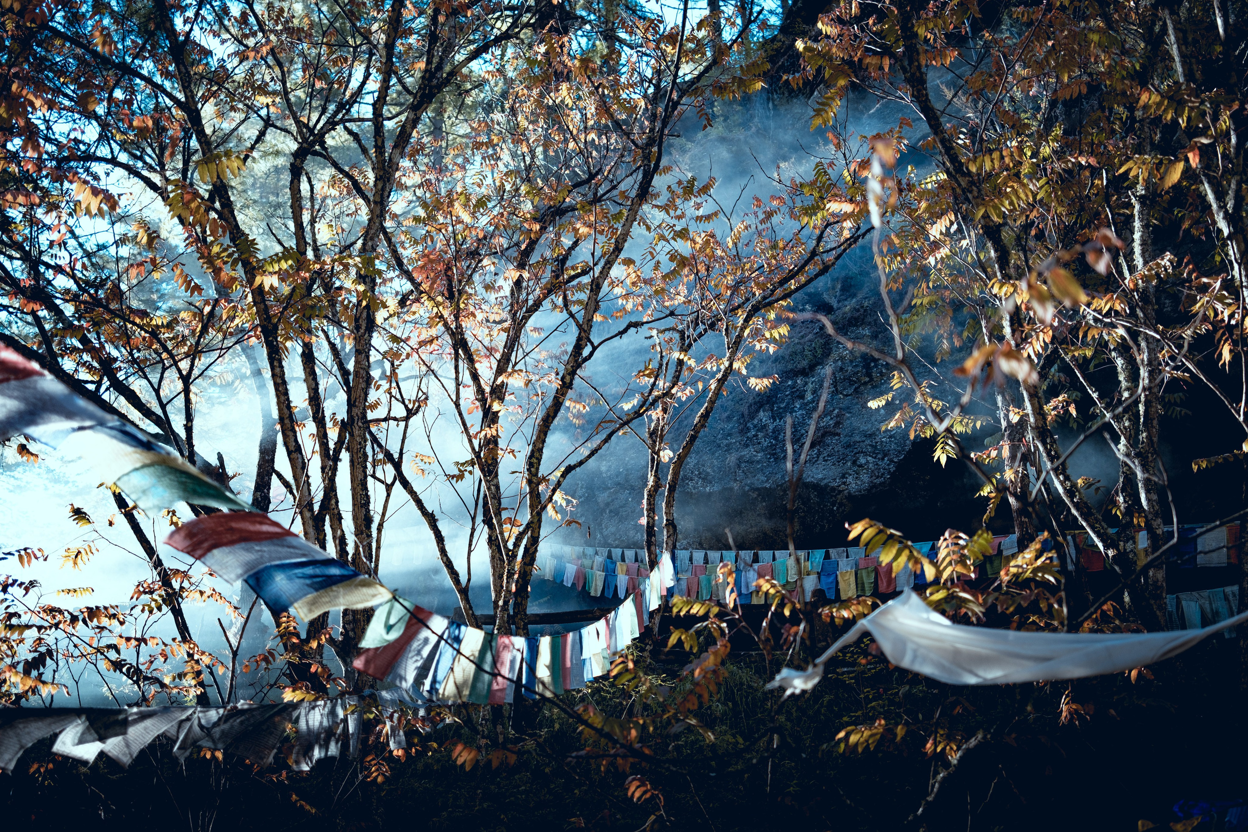 Bhutan. Dmitry Ippolitov