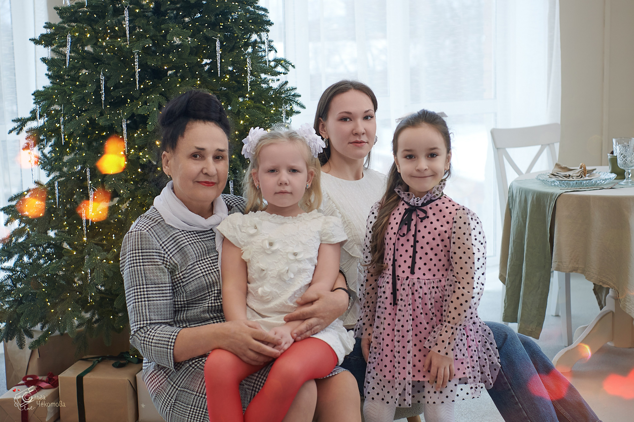 Новогодняя сказка для большой семьи. Ольга Чёкотова (Фотограф Кострома)