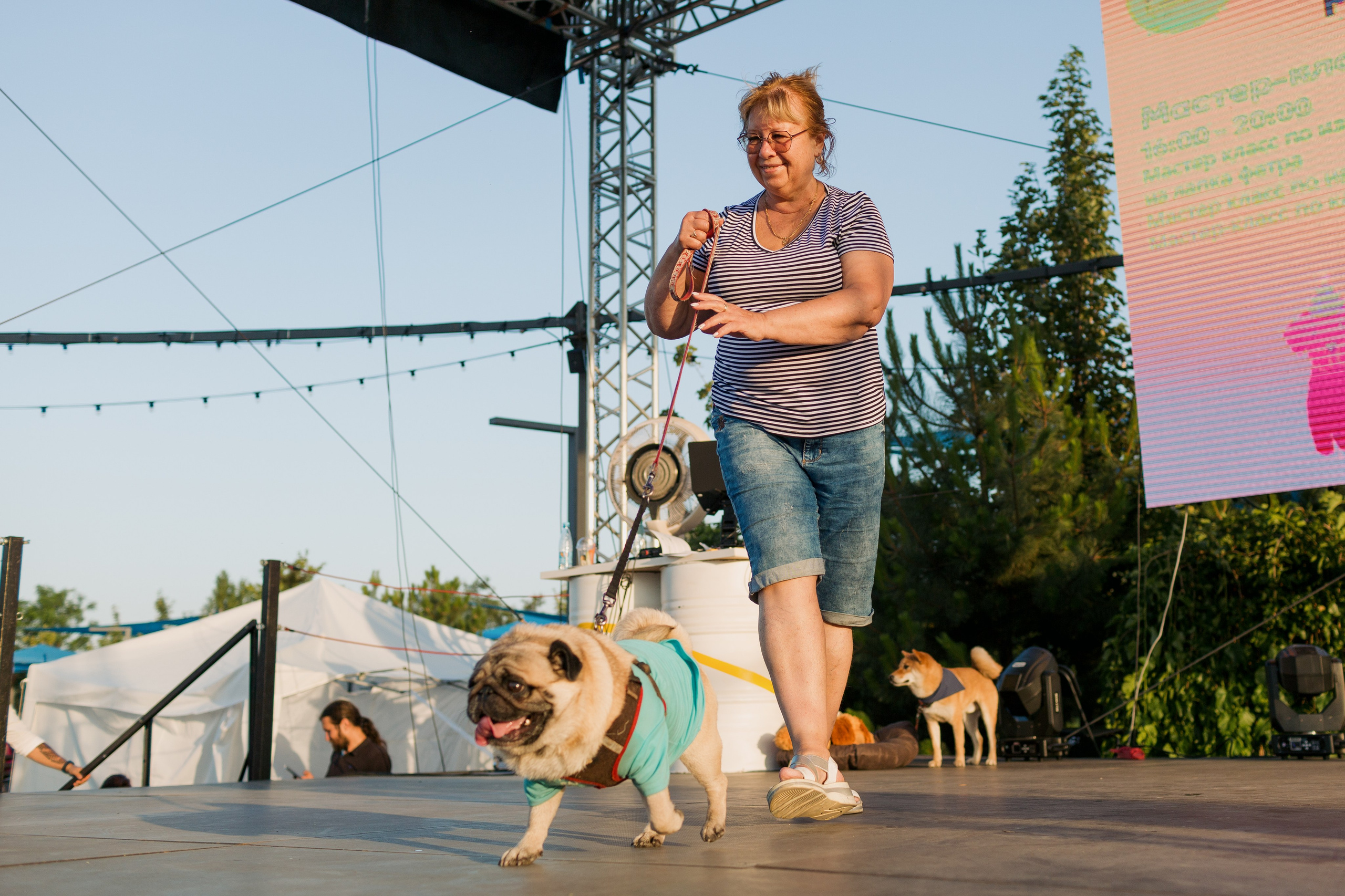 Dog Fest 2024. Главная