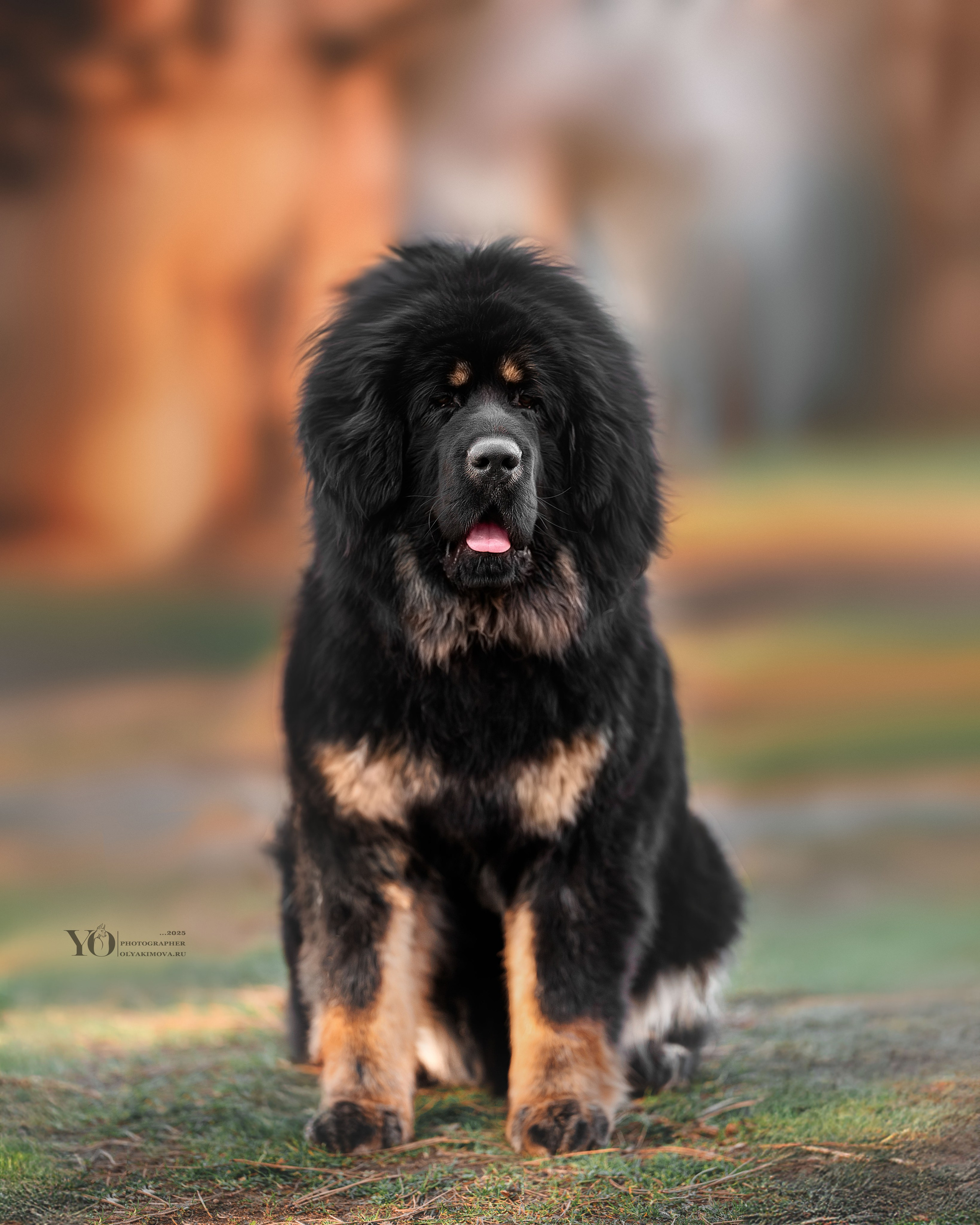 Экстерьер. Фотограф