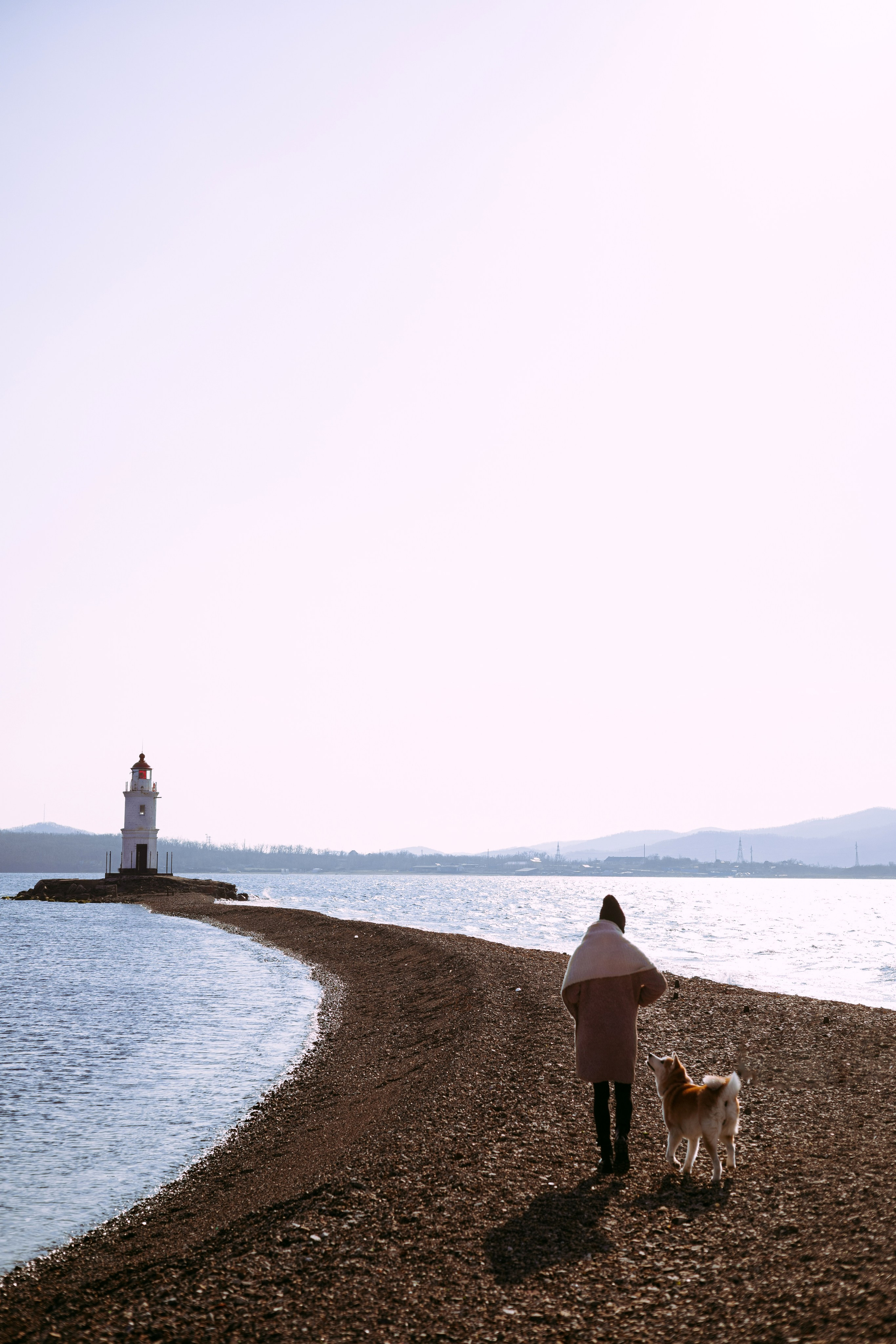 Мария и Бейла. Фотограф — анималист Владивосток, Алина