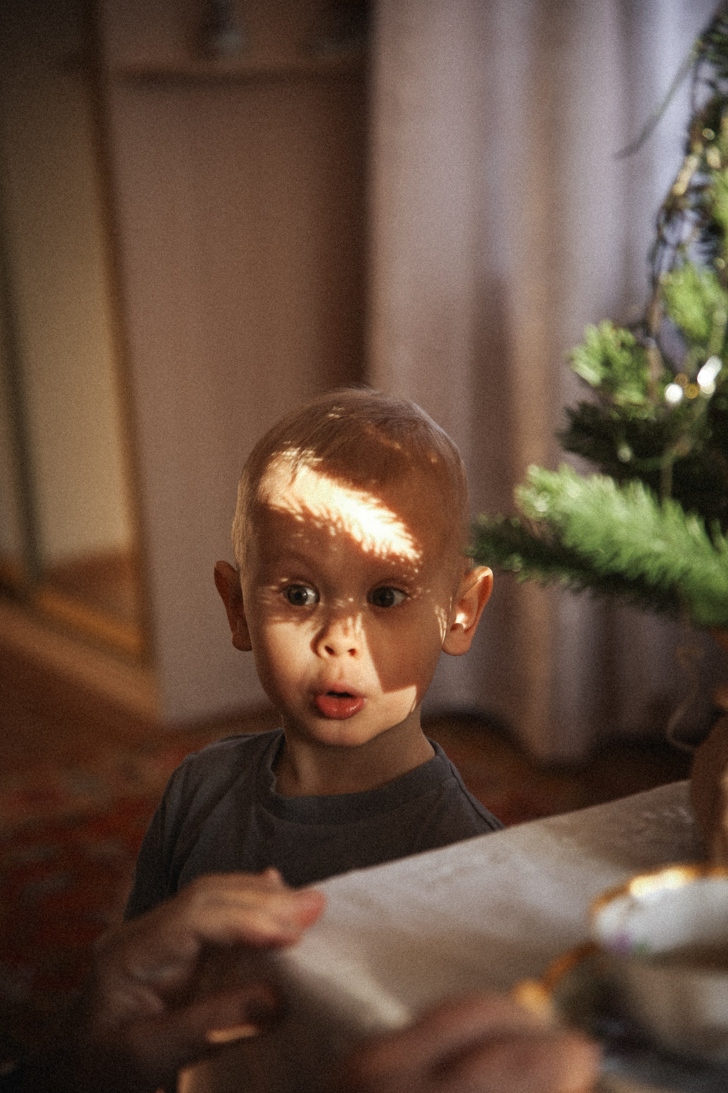 Семейная фотосессия домашняя фотосессия бабушка в гостях у бабушки. Фотограф Владимир Москва