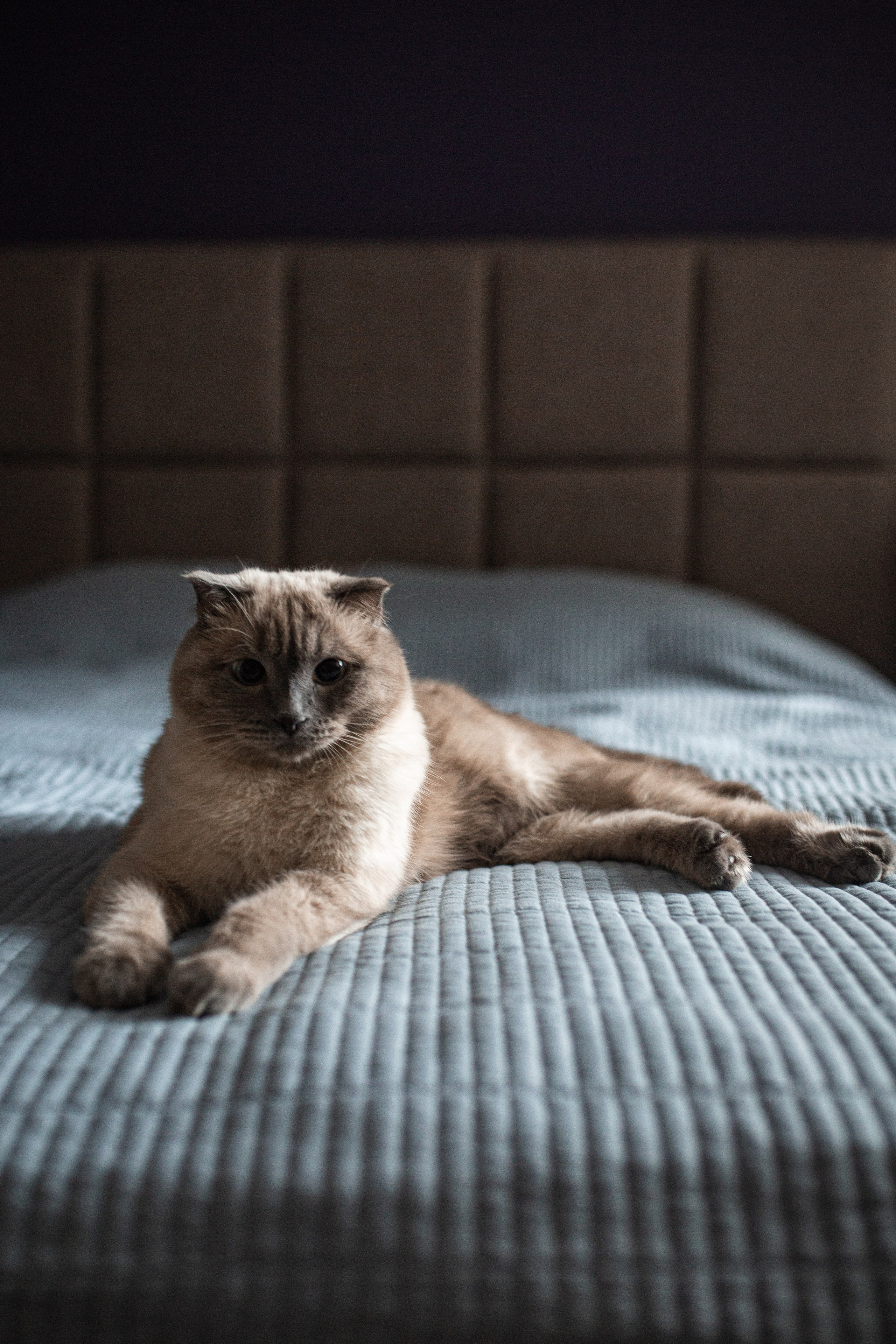 Ты-моя Вселенная🖤. Фотограф Санкт-Петербург