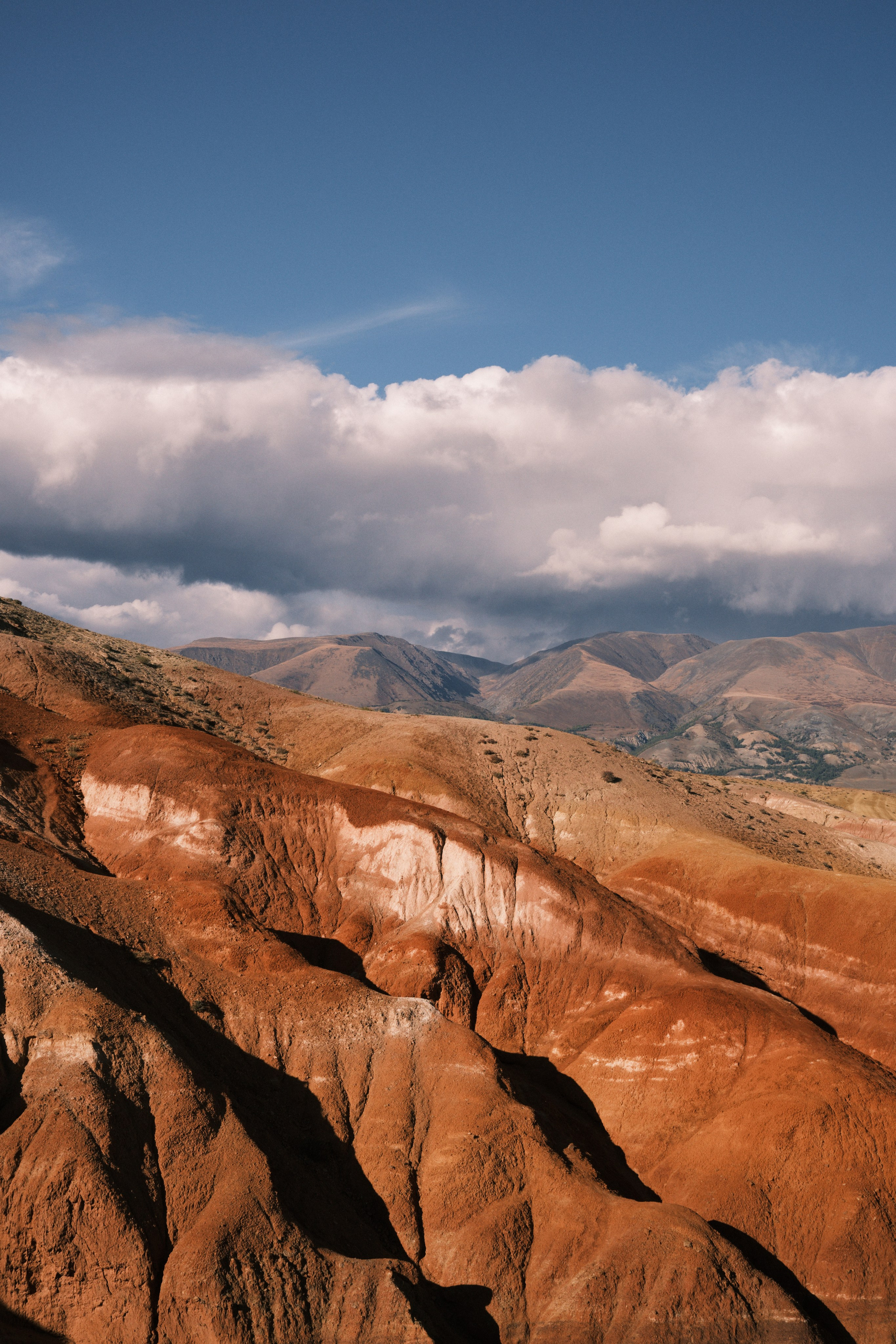 Природа. Антон Ив