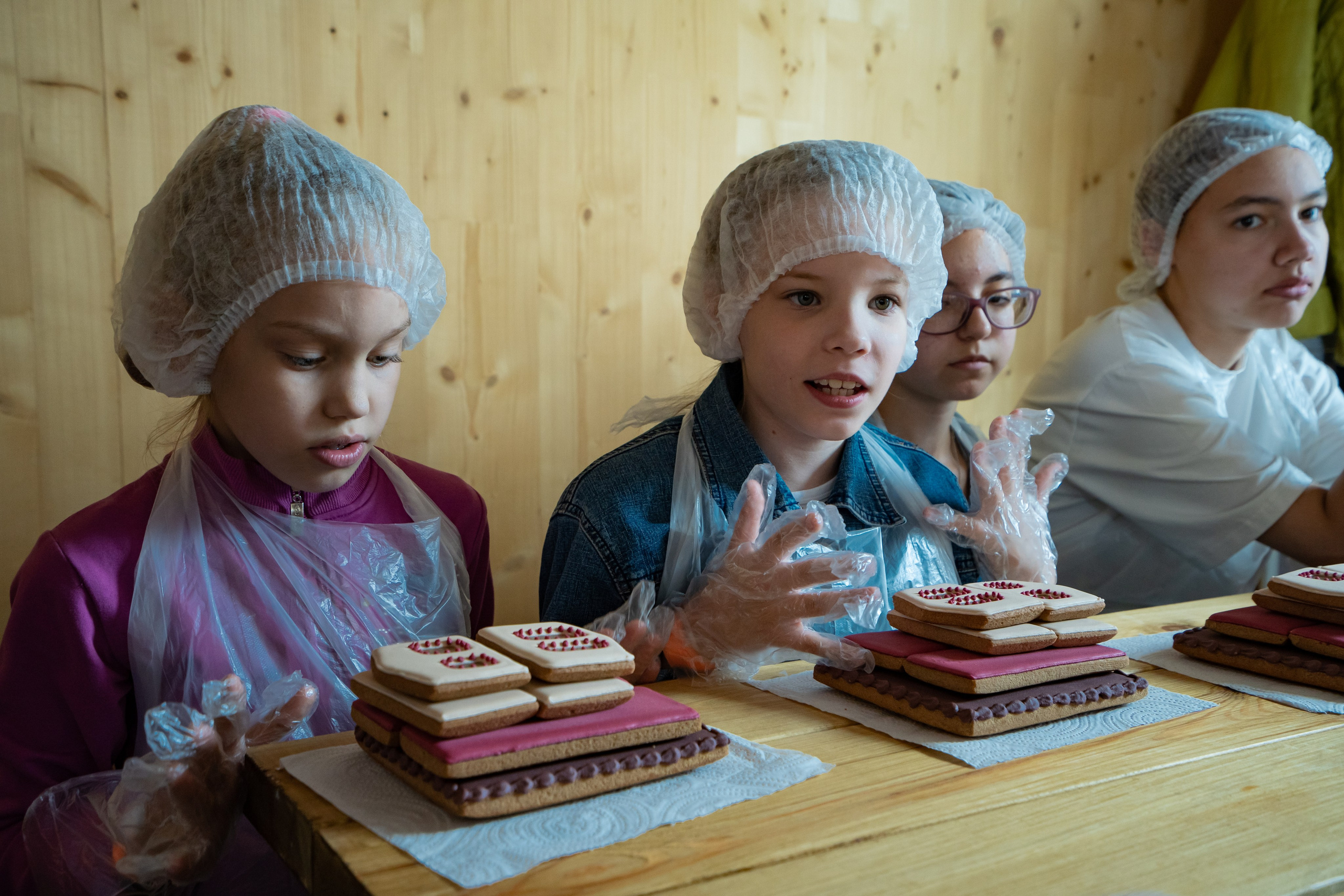 Выставка коттеджных домов Open Village. Фото / Видеосъемка в Москве