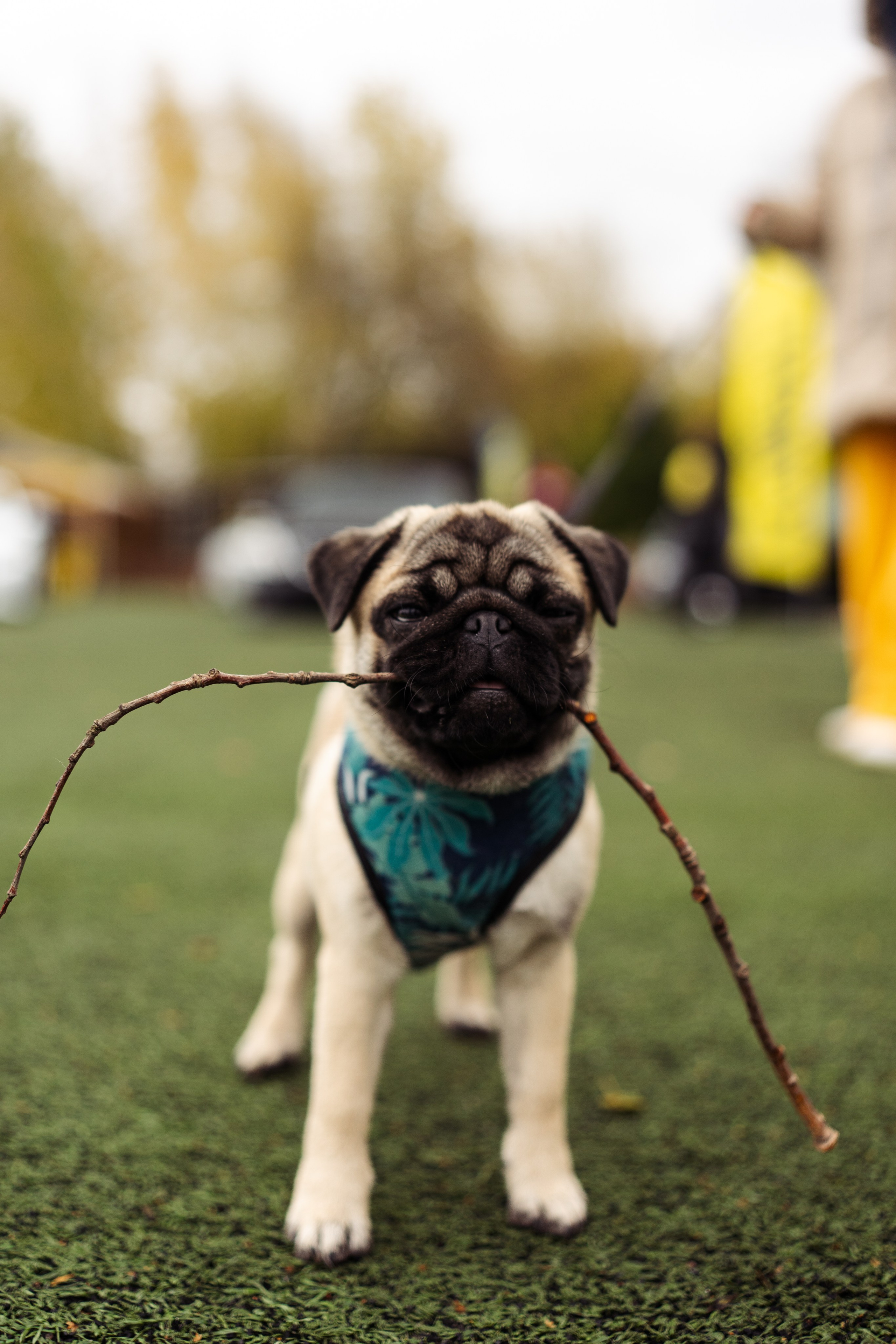 Fitment event 2023. Фотограф в СПБ Алмаз Камаев