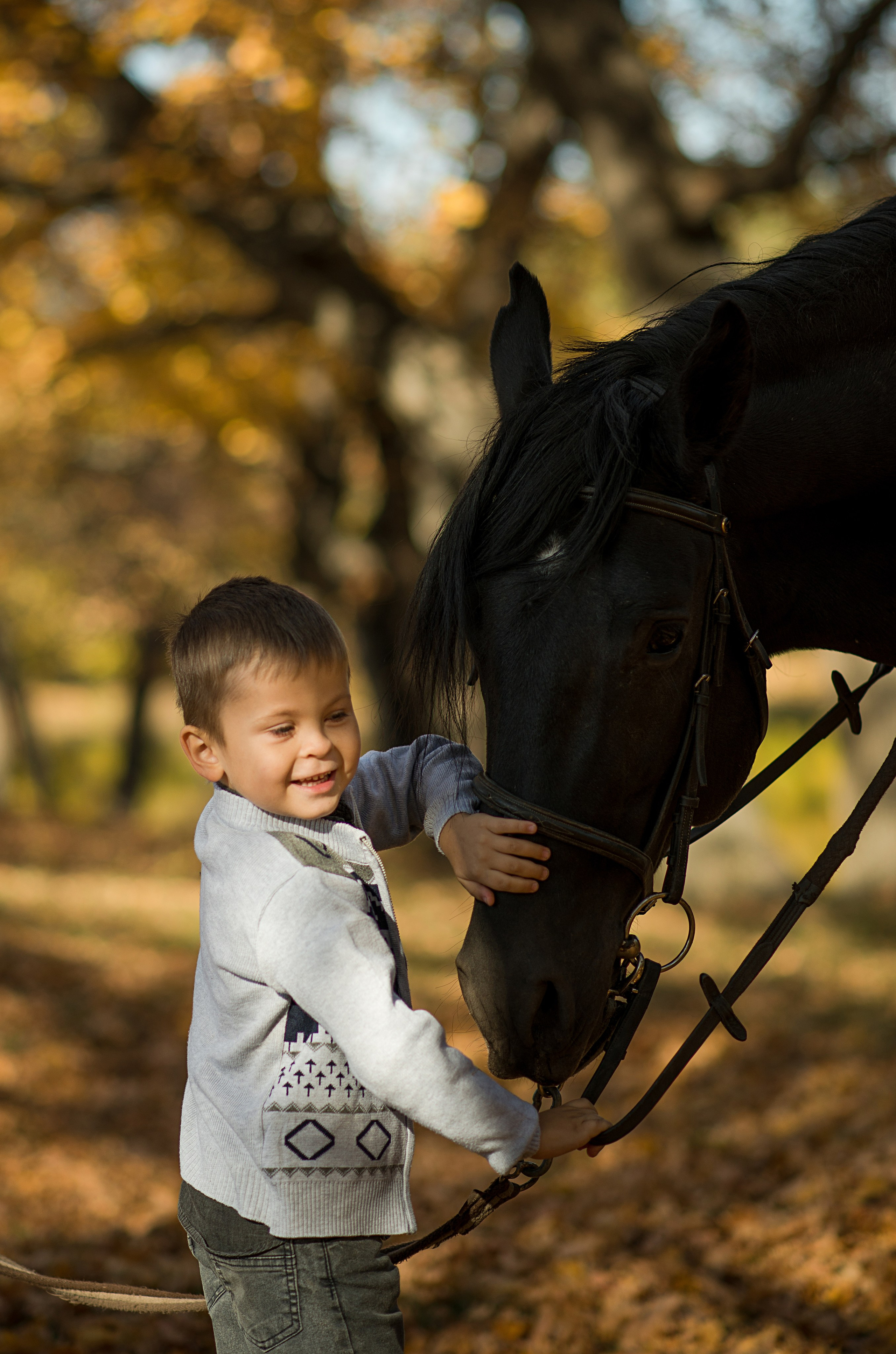 Дети и лошади. Конный фотограф в Саратове Юлия Иванова