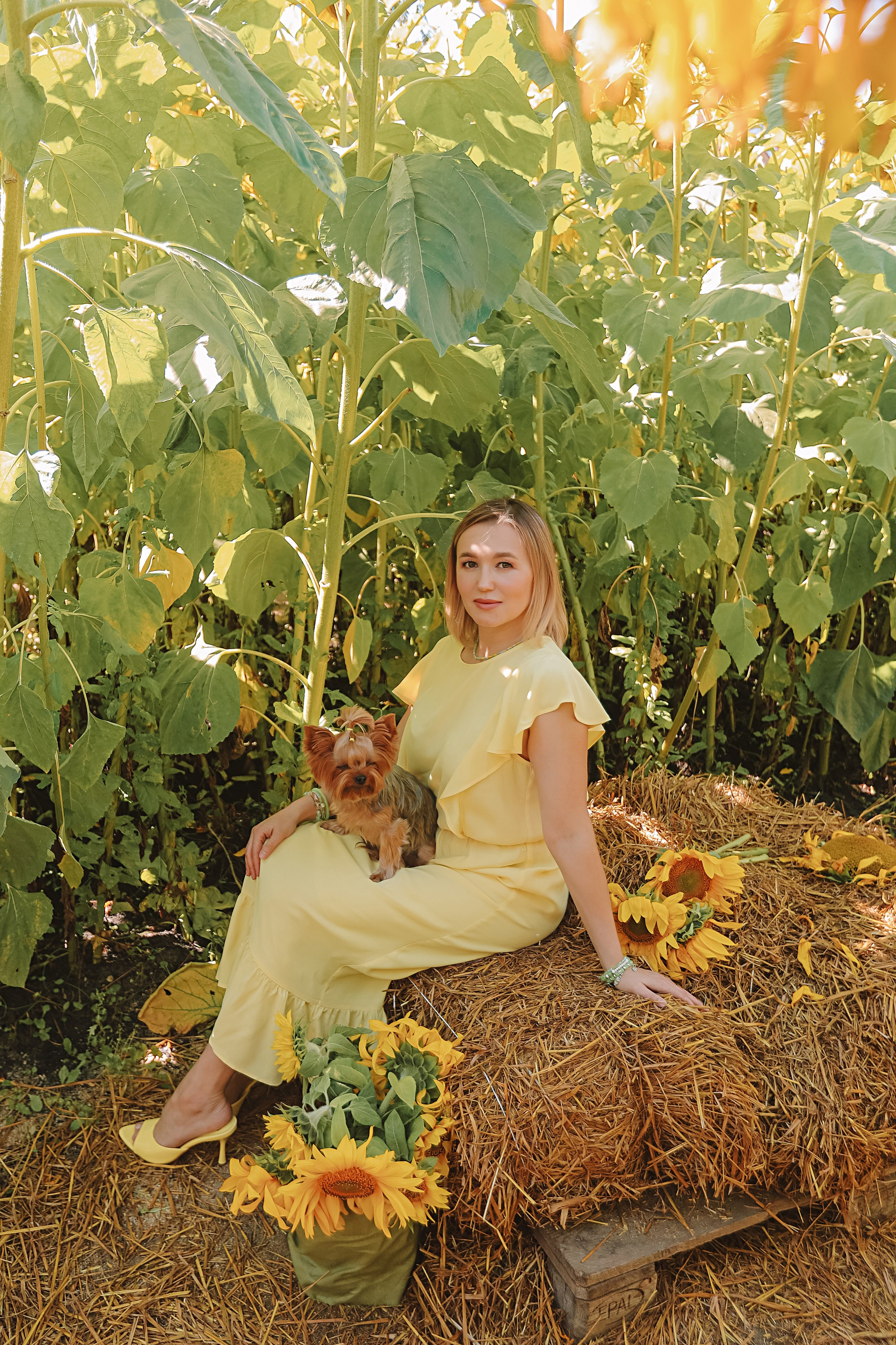 Подсолнухи. Семейный фотограф Тюмень, фотограф на роды Салмина Мария